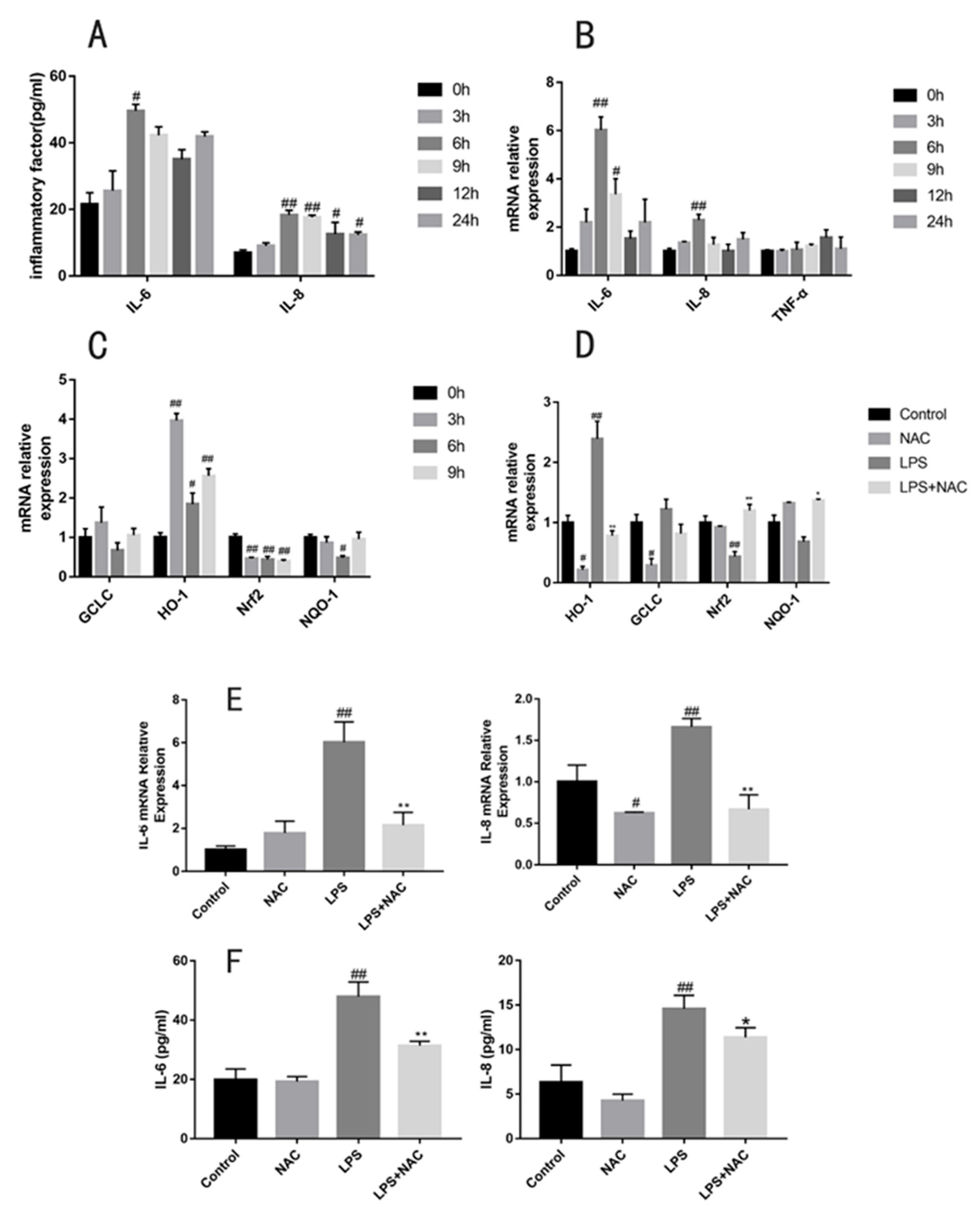 Antioxidants 11 00879 g003