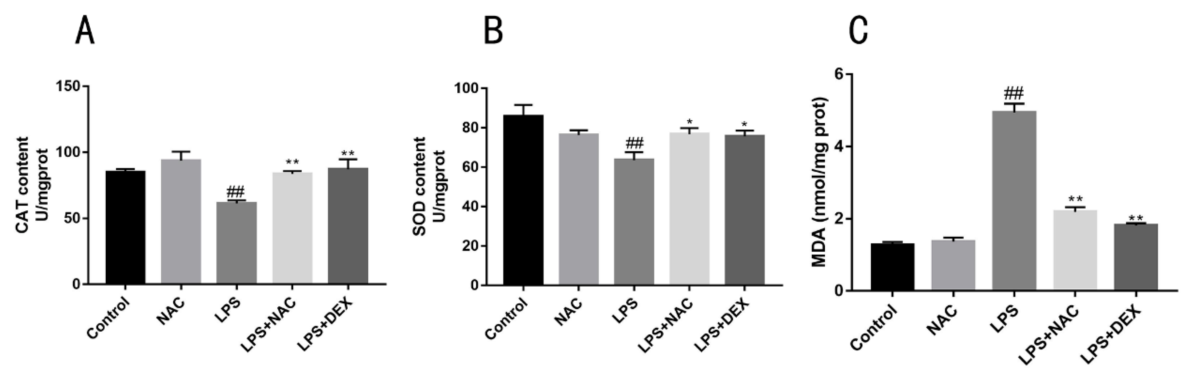 Antioxidants 11 00879 g006