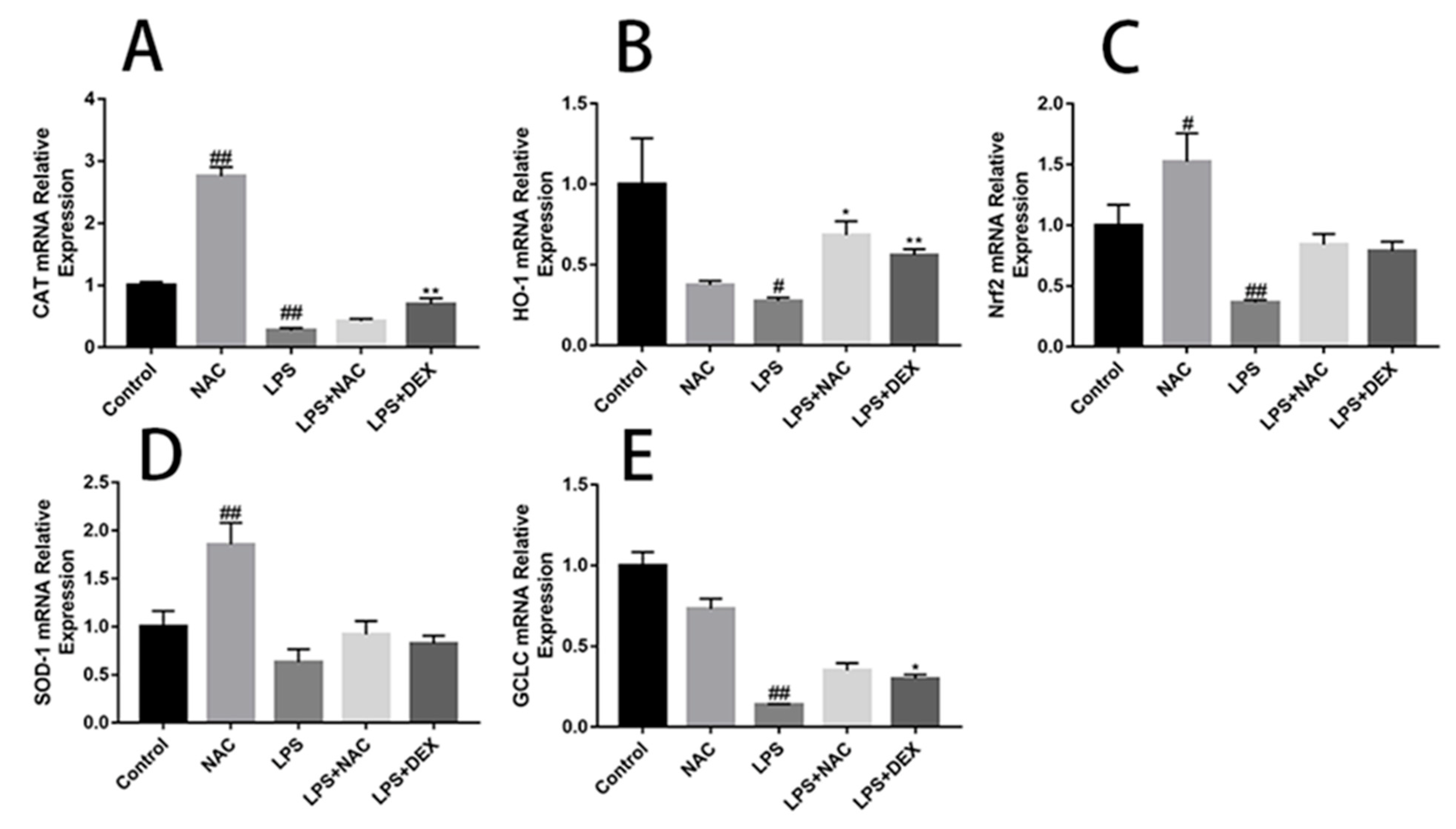 Antioxidants 11 00879 g008