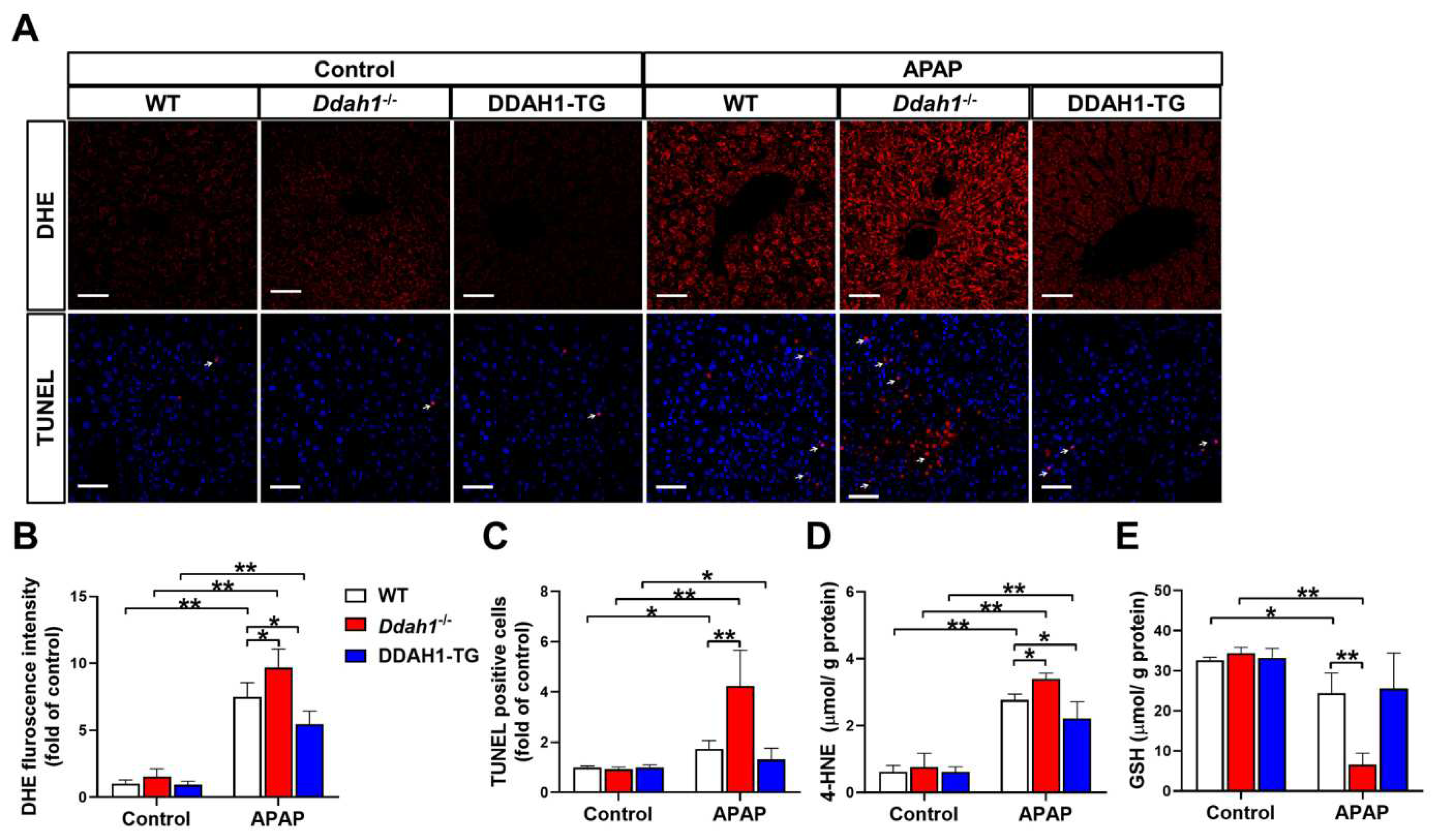 Antioxidants 11 00880 g002