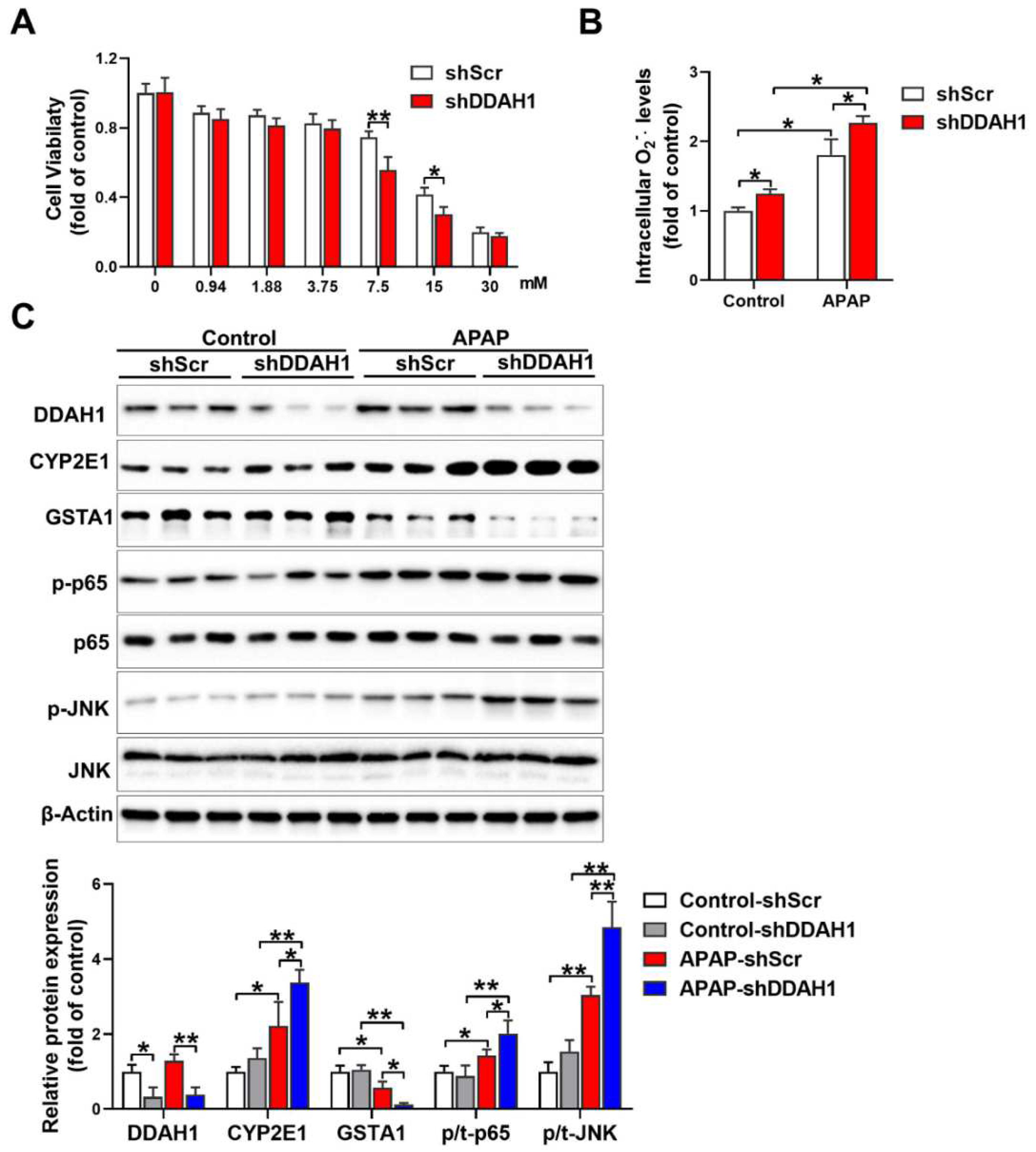Antioxidants 11 00880 g005