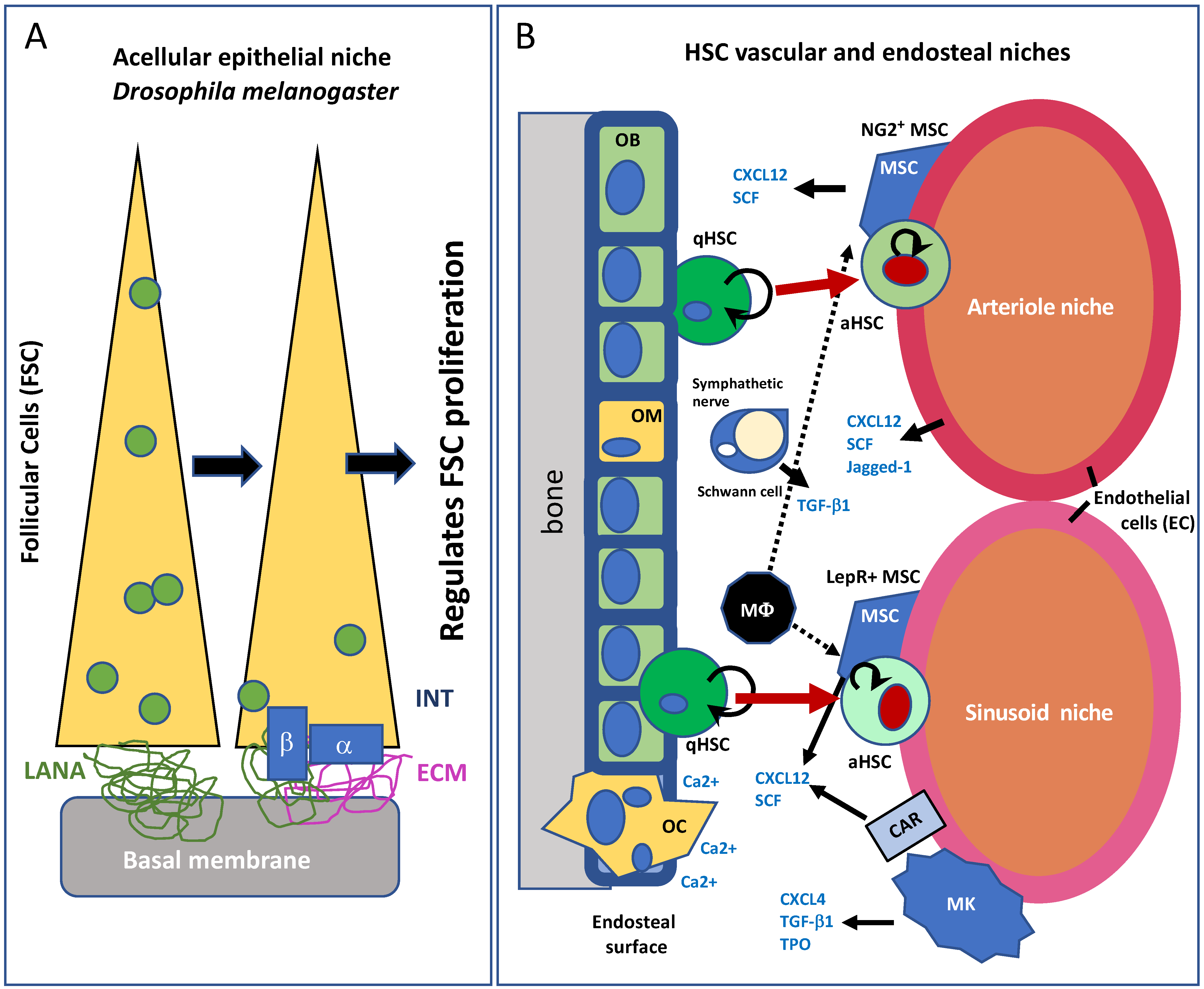 Antioxidants 11 00882 g001