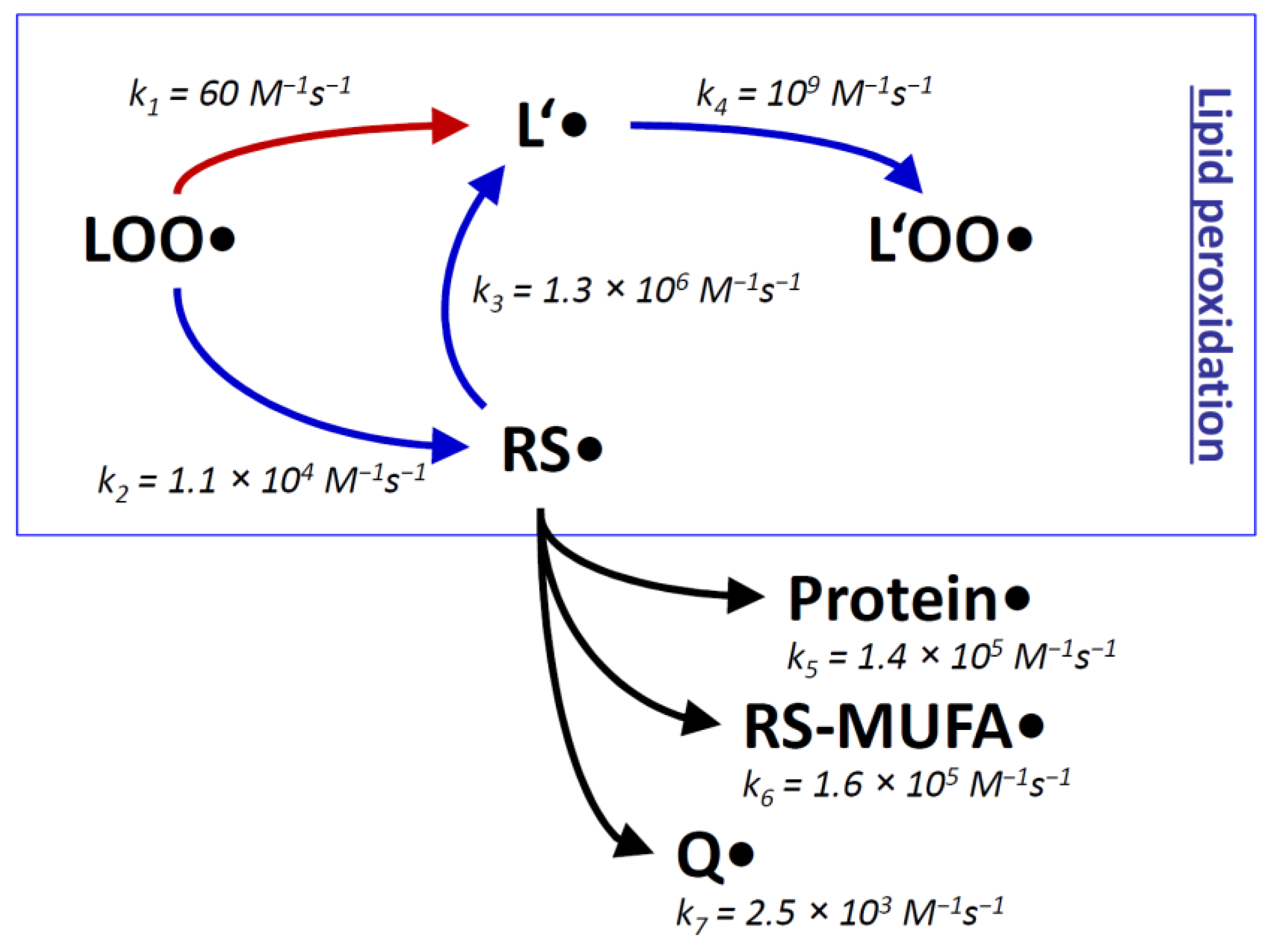 Antioxidants 11 00885 g001 Antioxidants 11 00885 g001
