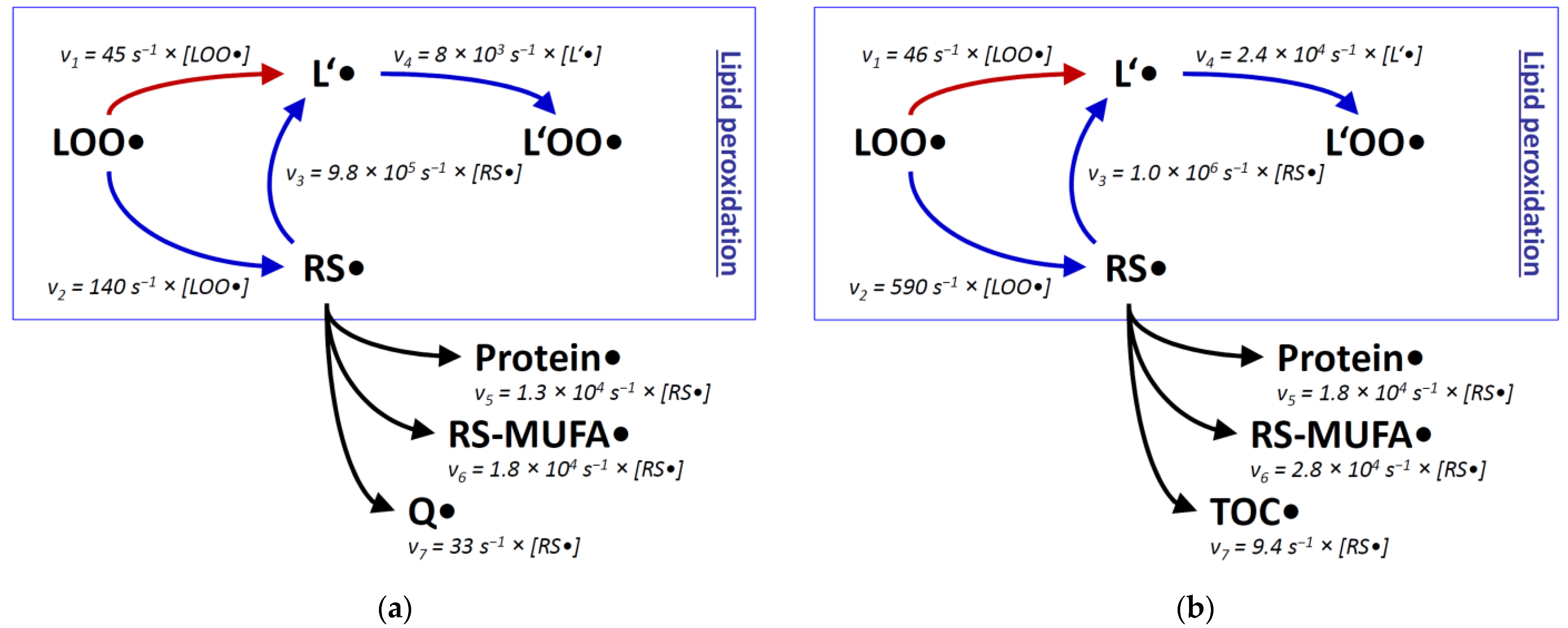 Antioxidants 11 00885 g002 Antioxidants 11 00885 g002
