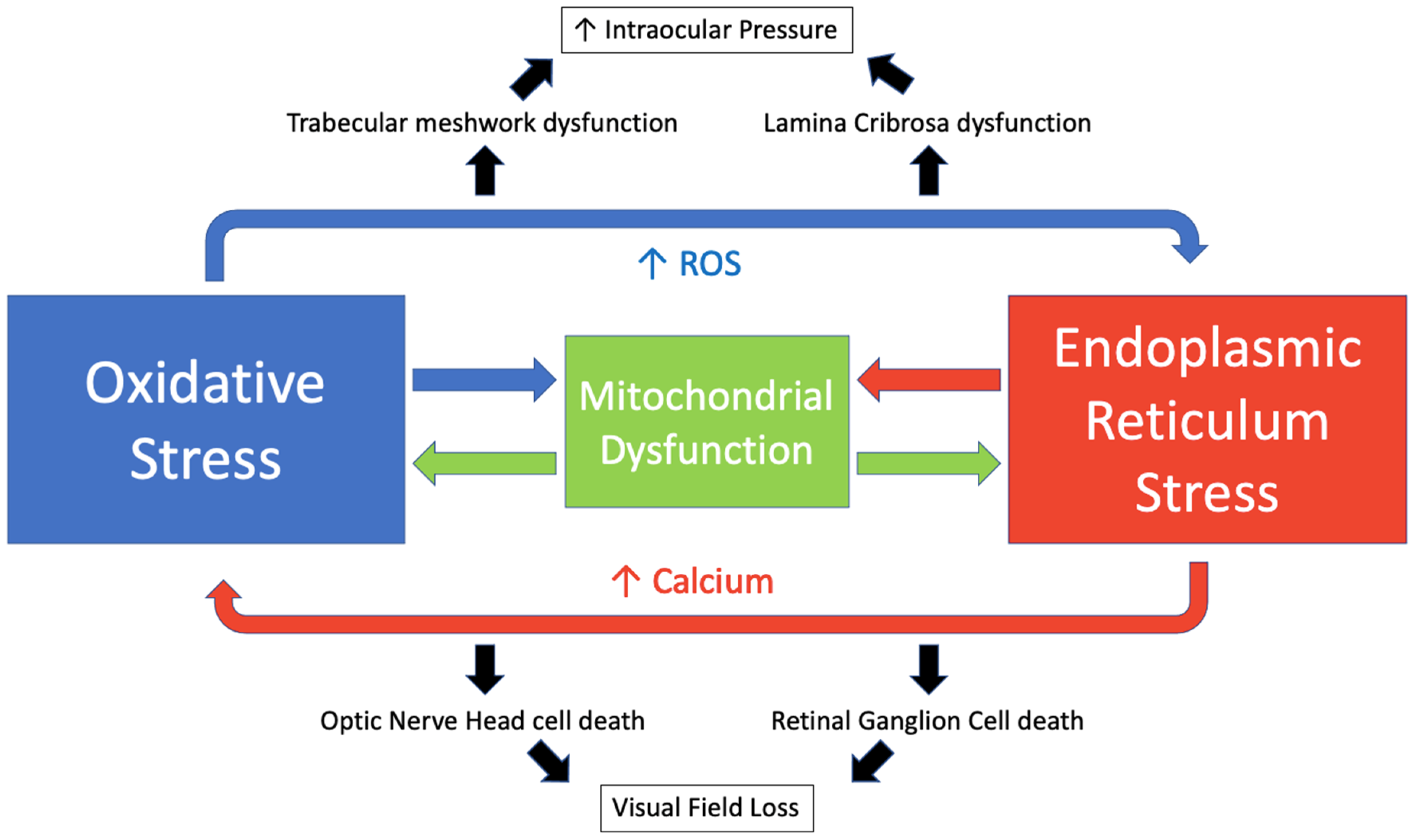 Antioxidants 11 00886 g005