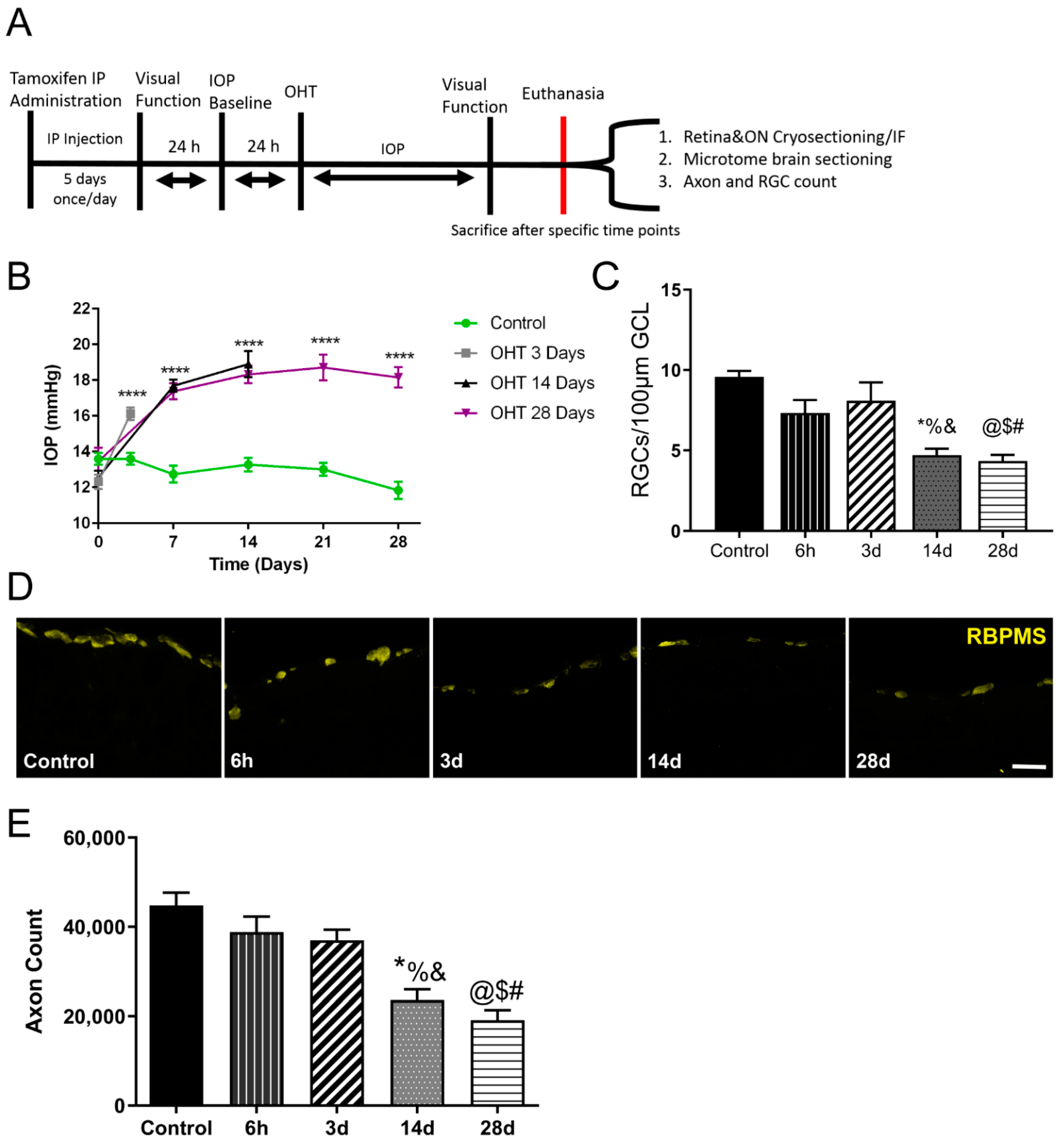 Antioxidants 11 00888 g001