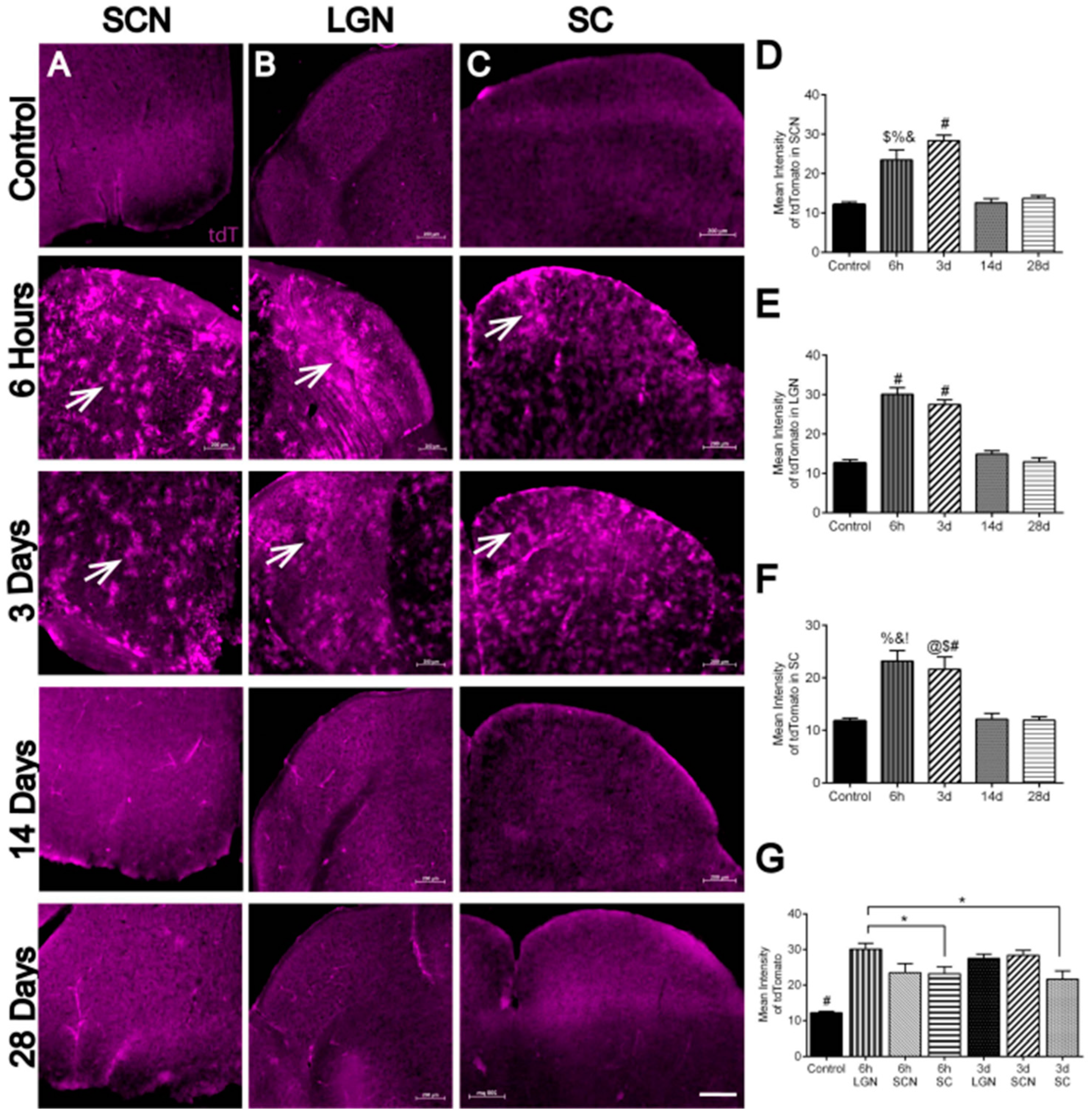 Antioxidants 11 00888 g007