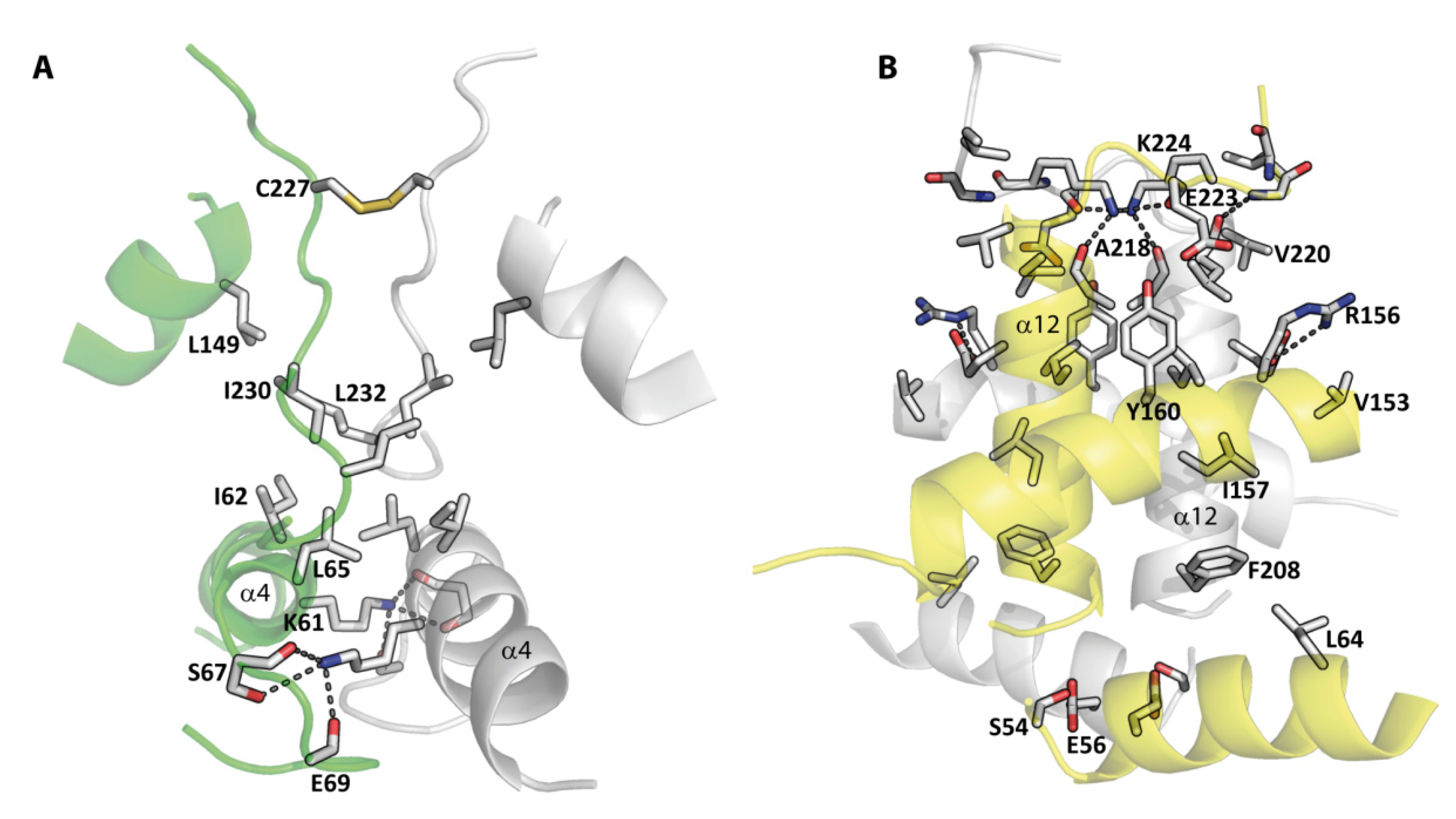 Antioxidants 11 00891 g003