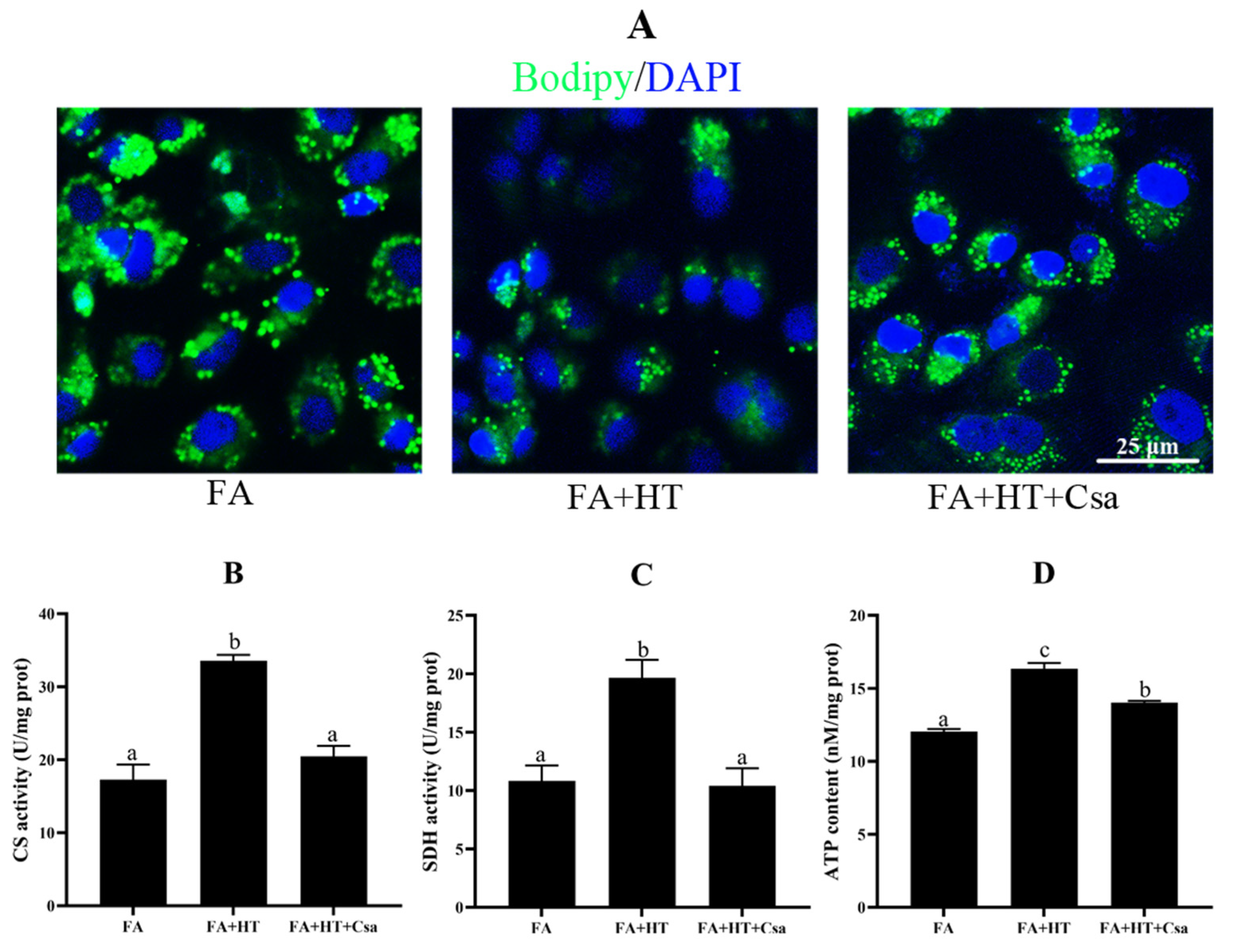 Antioxidants 11 00893 g008
