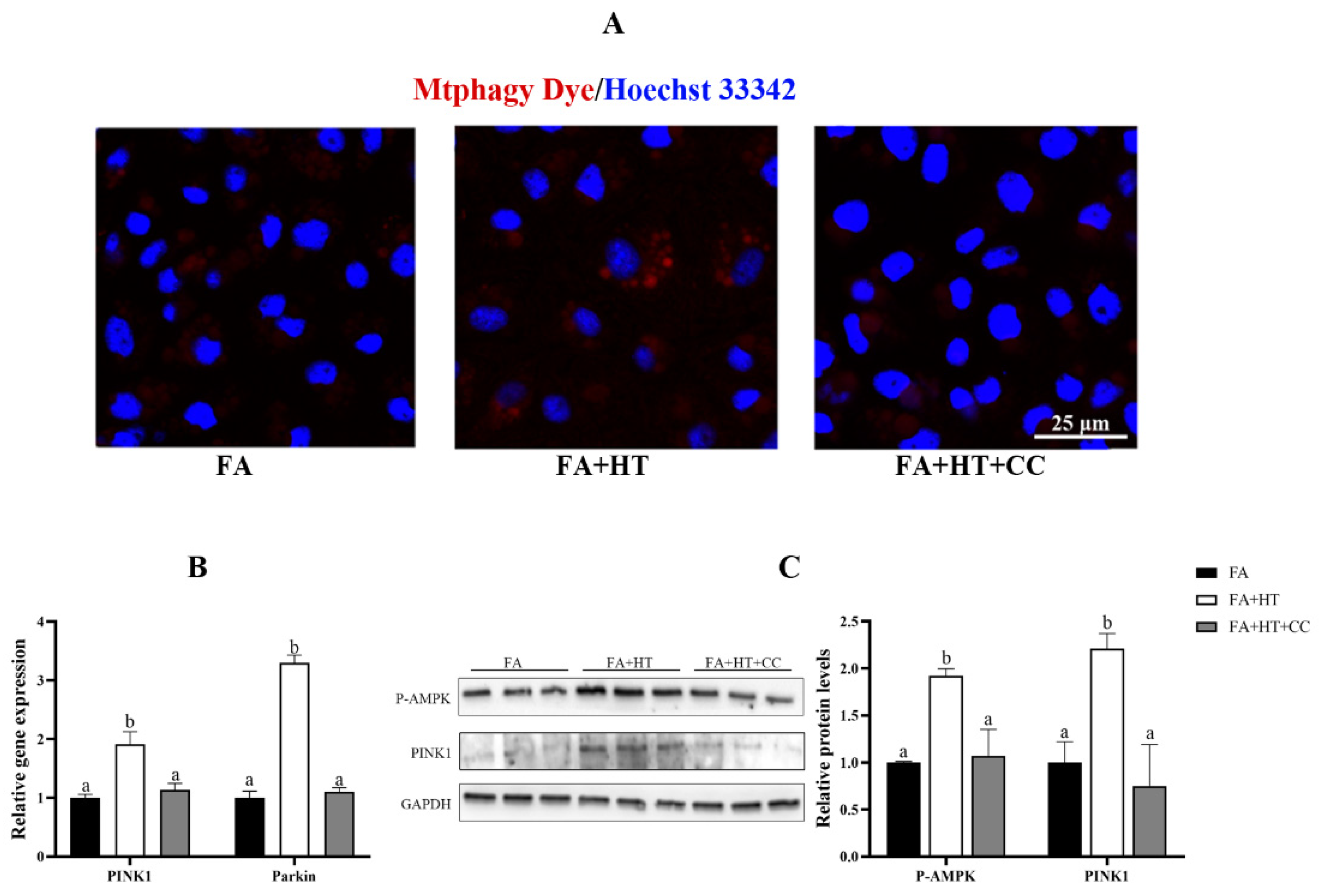 Antioxidants 11 00893 g009