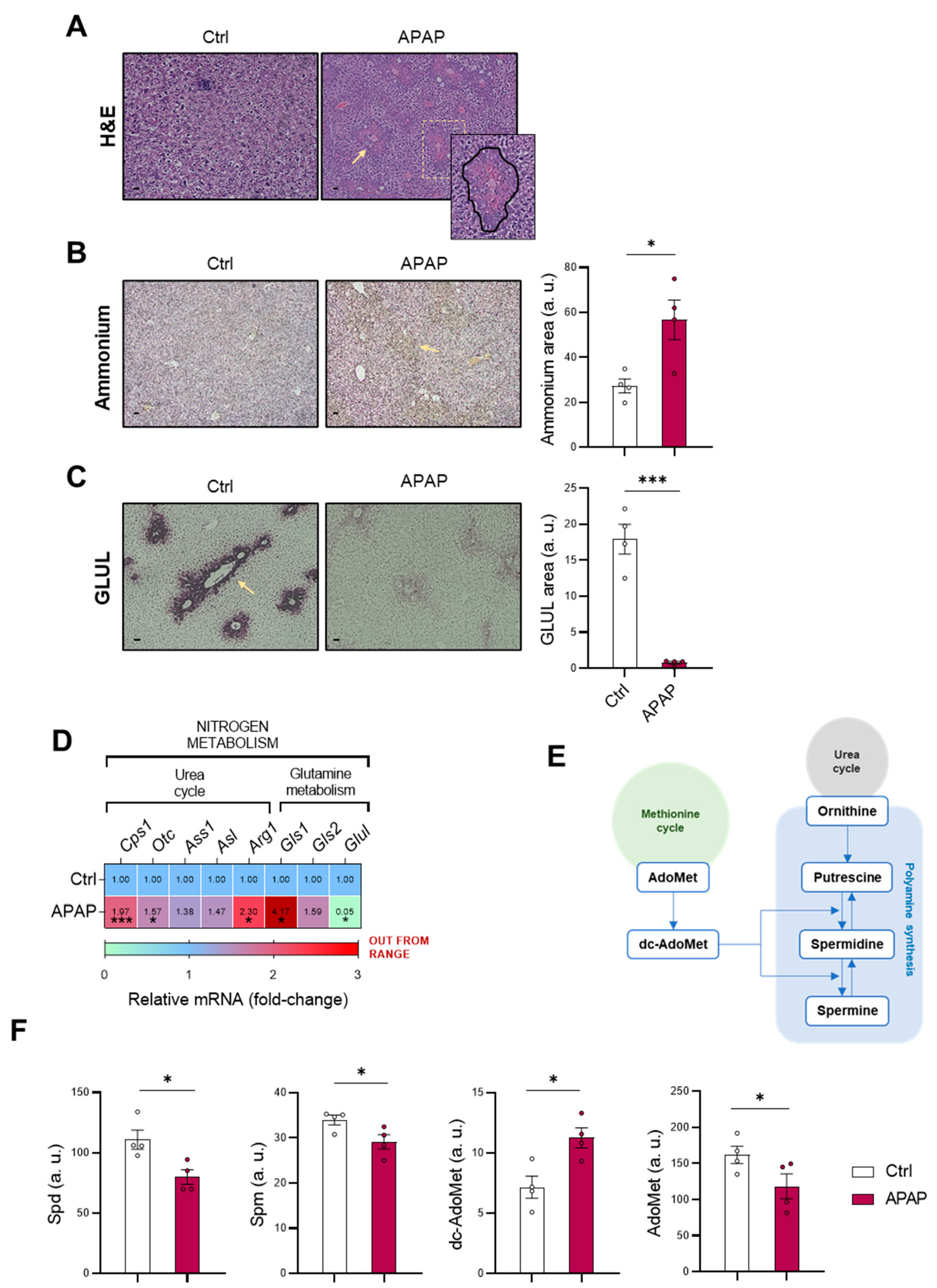 Antioxidants 11 00897 g001