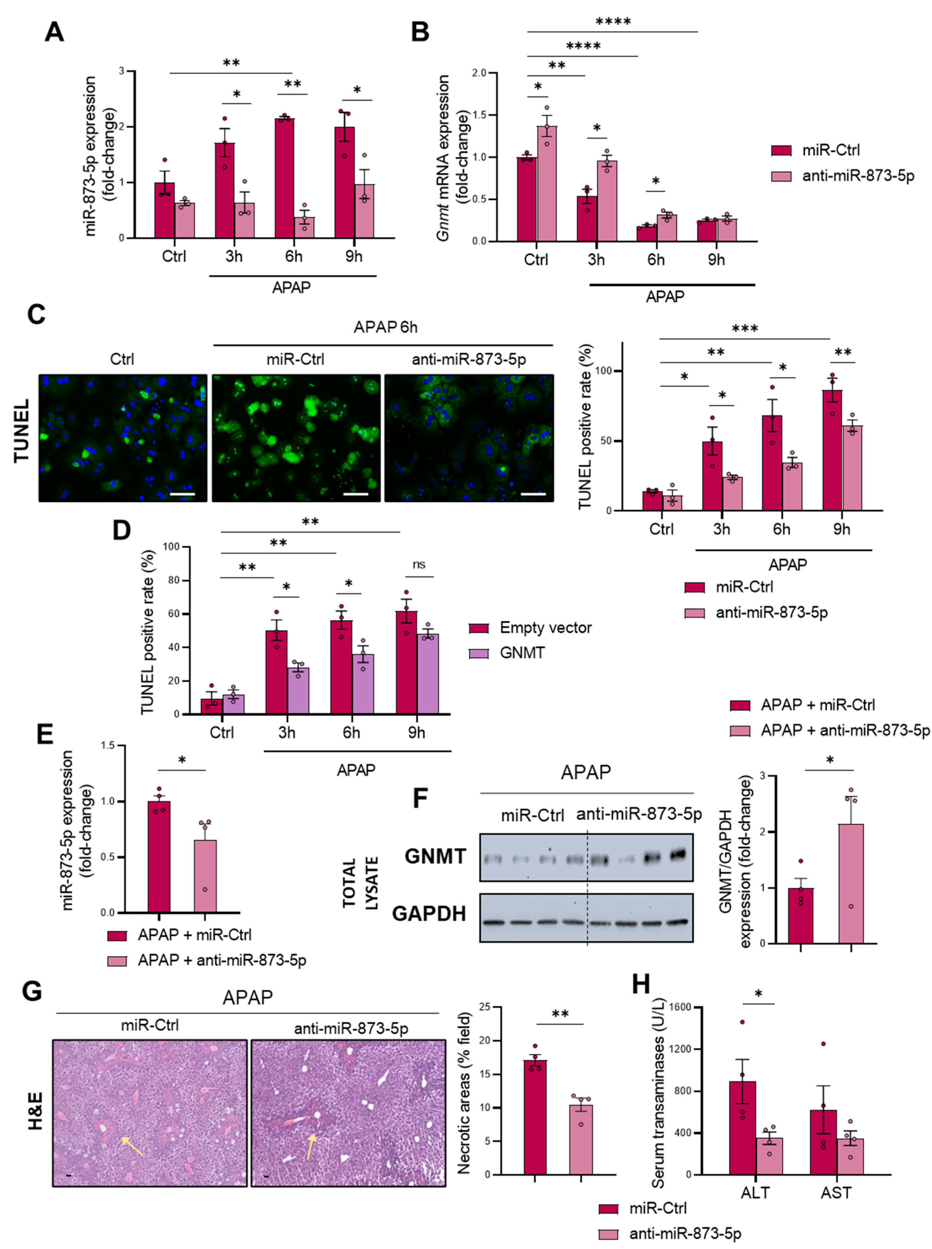 Antioxidants 11 00897 g003
