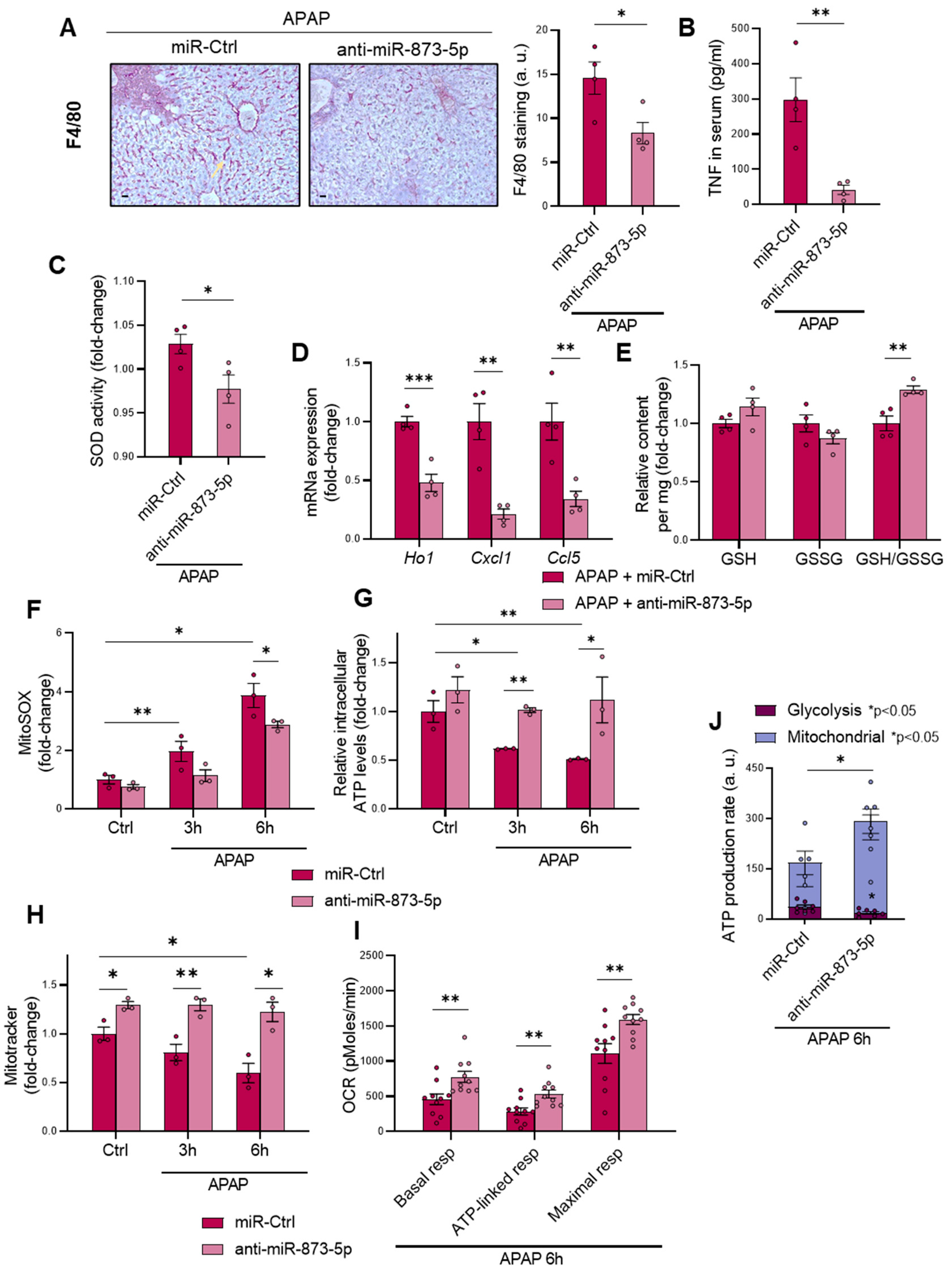 Antioxidants 11 00897 g004