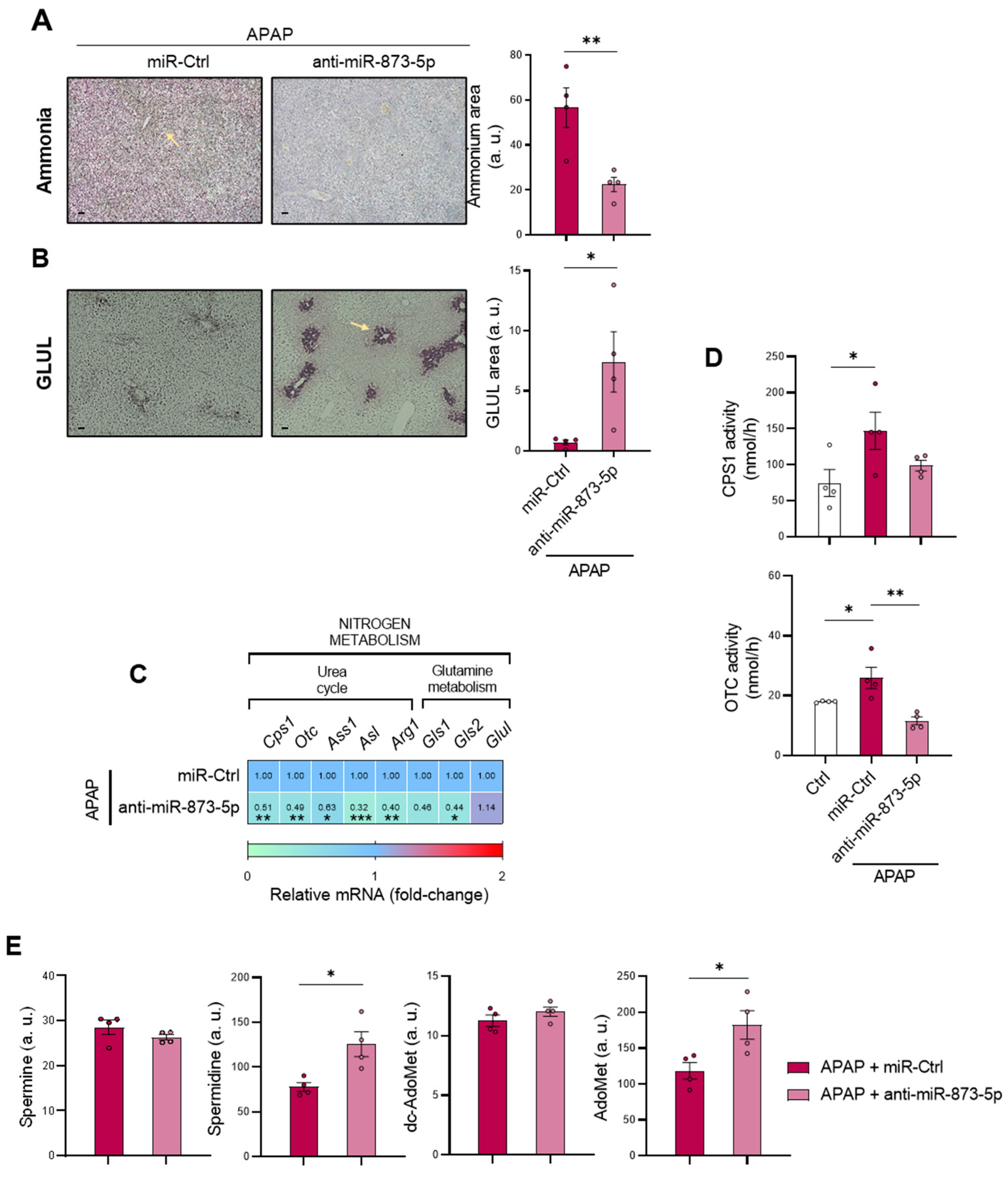 Antioxidants 11 00897 g005