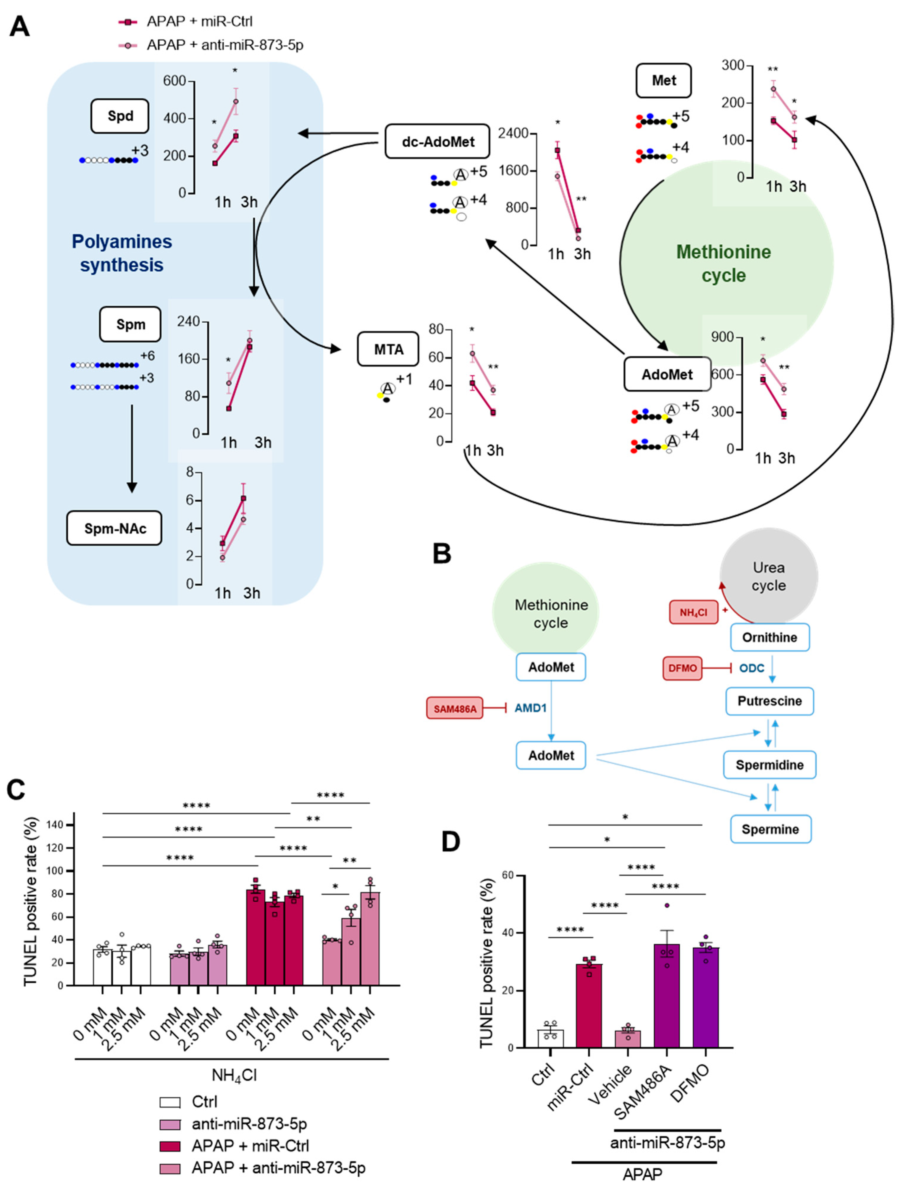 Antioxidants 11 00897 g006