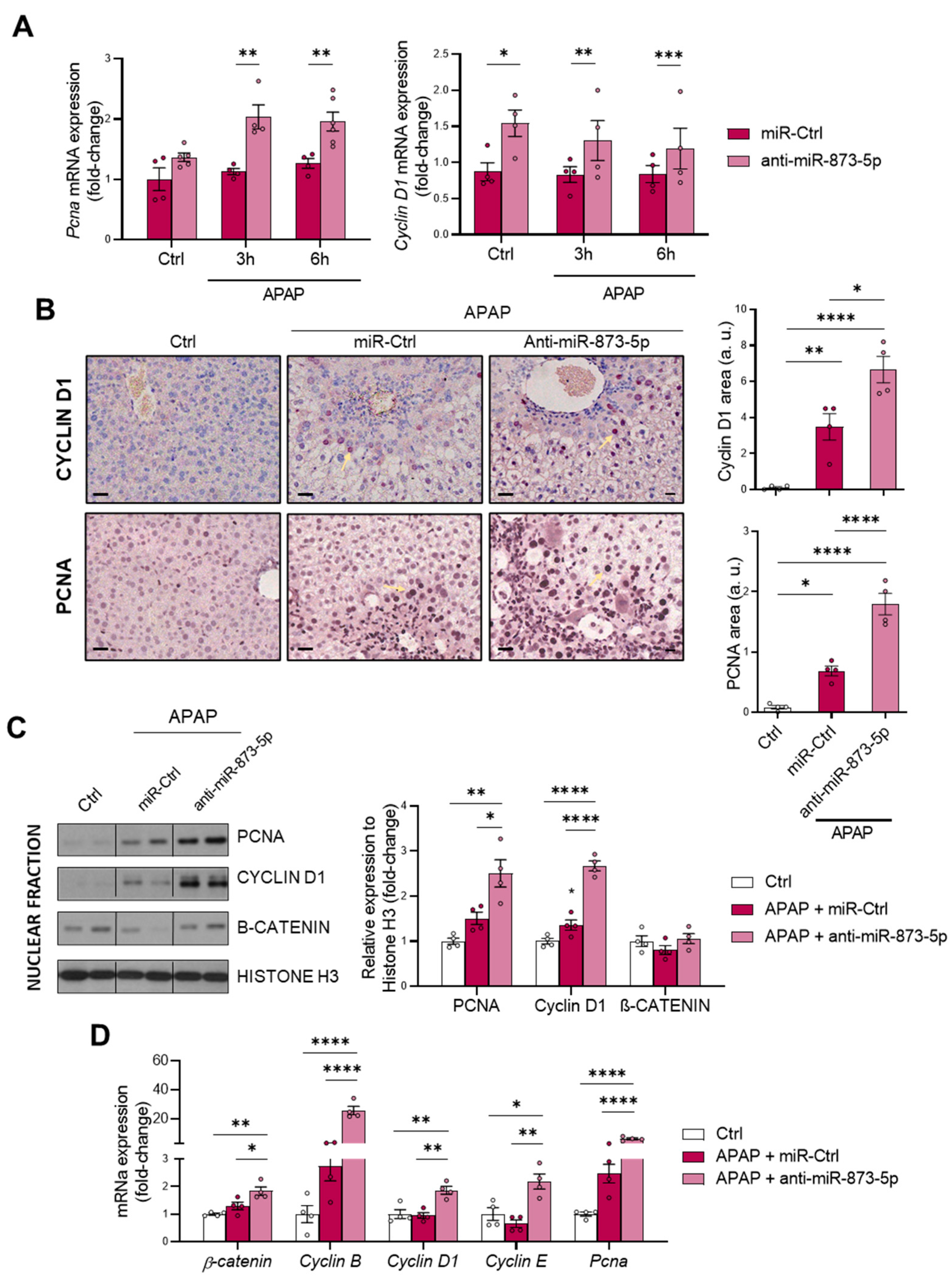 Antioxidants 11 00897 g007