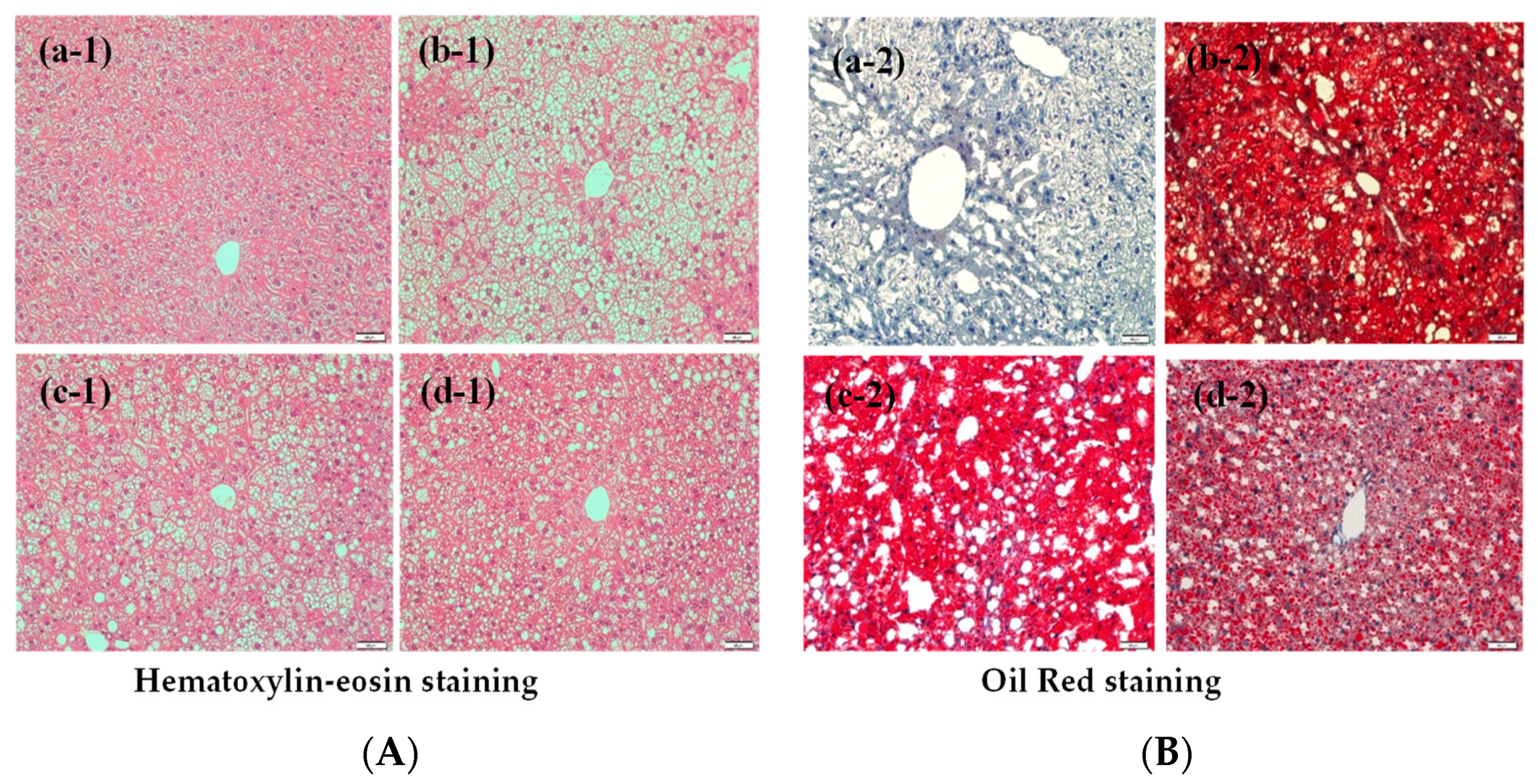 Antioxidants 11 00898 g007
