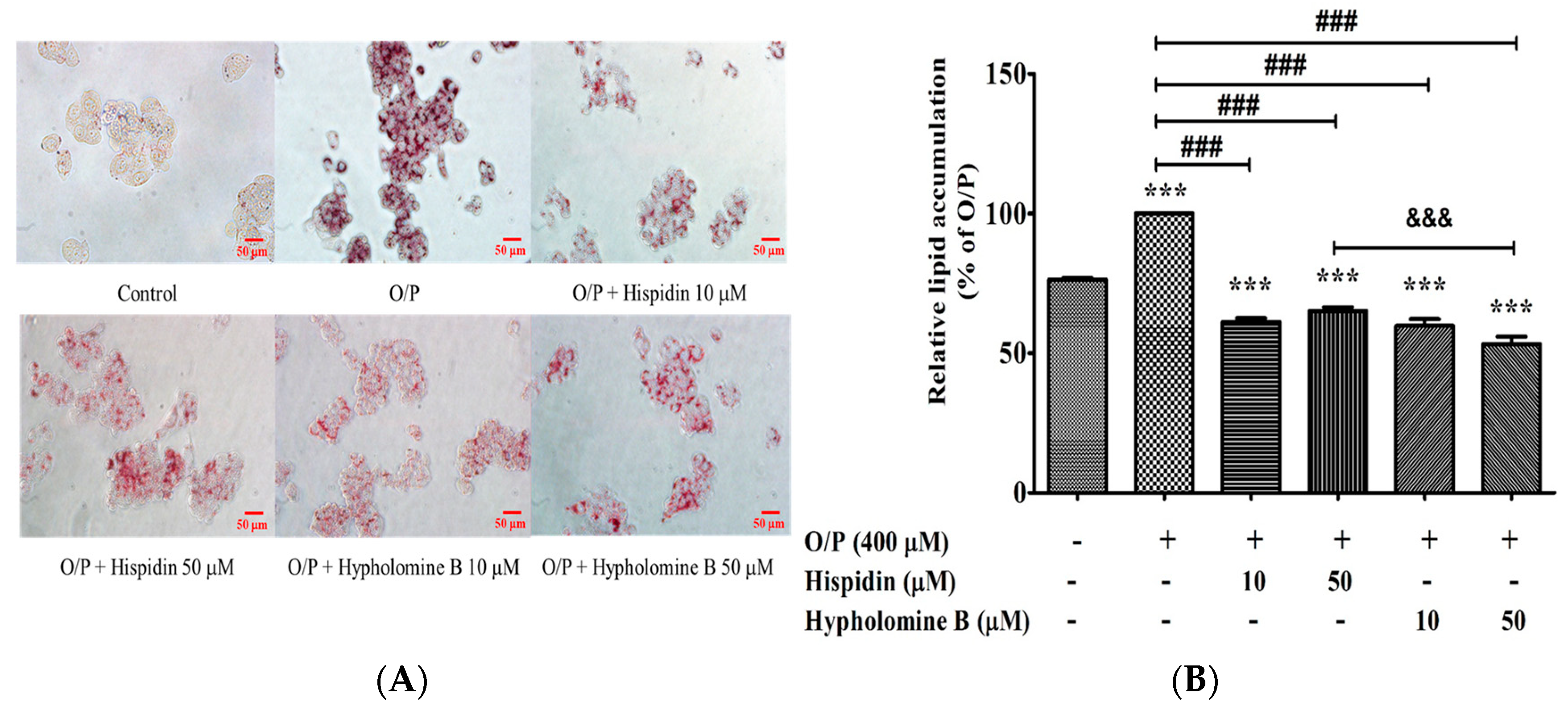Antioxidants 11 00898 g008