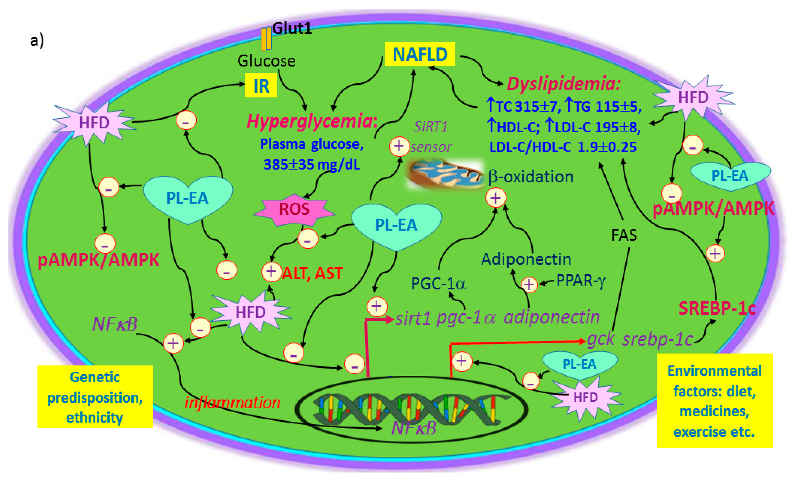 Antioxidants 11 00898 g012a