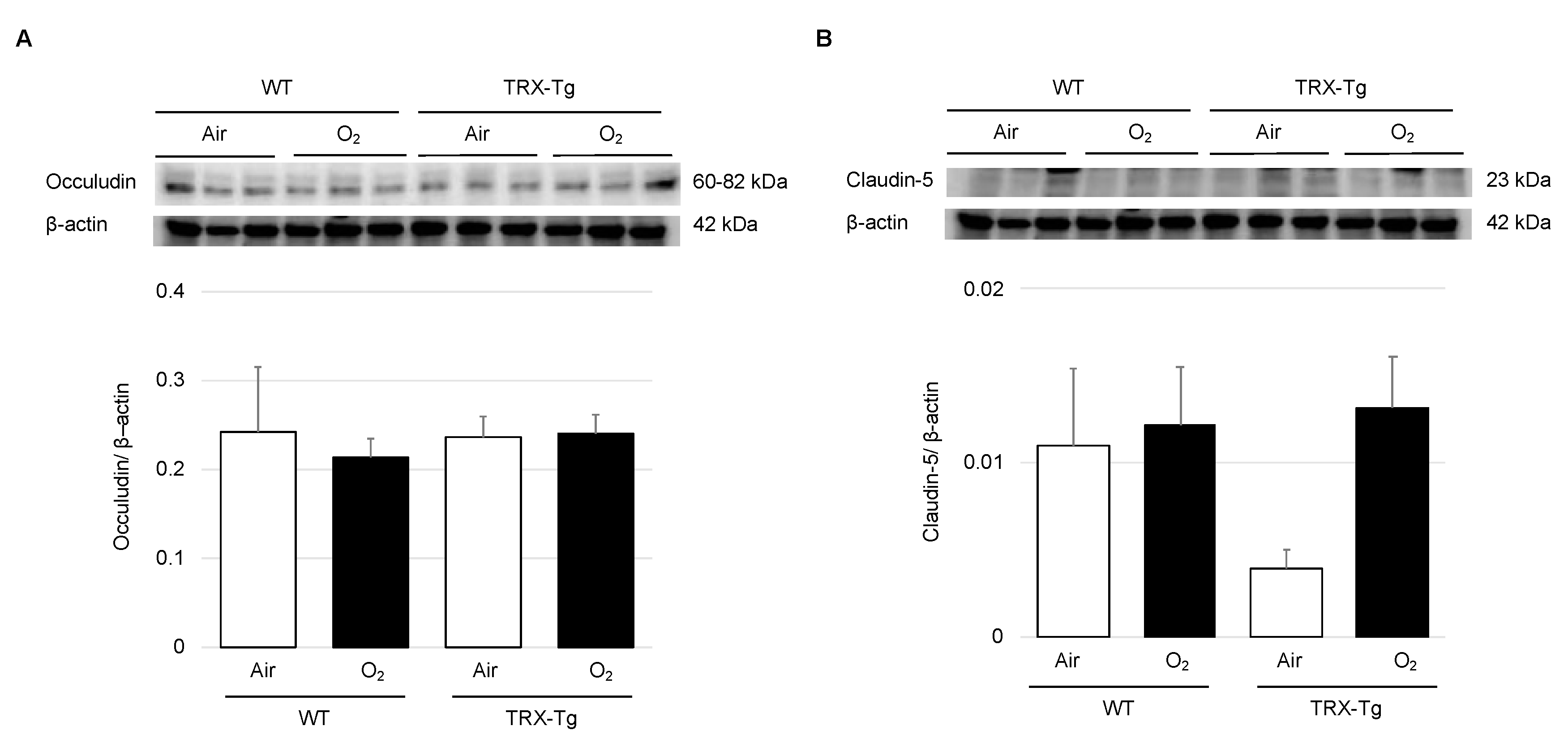 Antioxidants 11 00899 g004