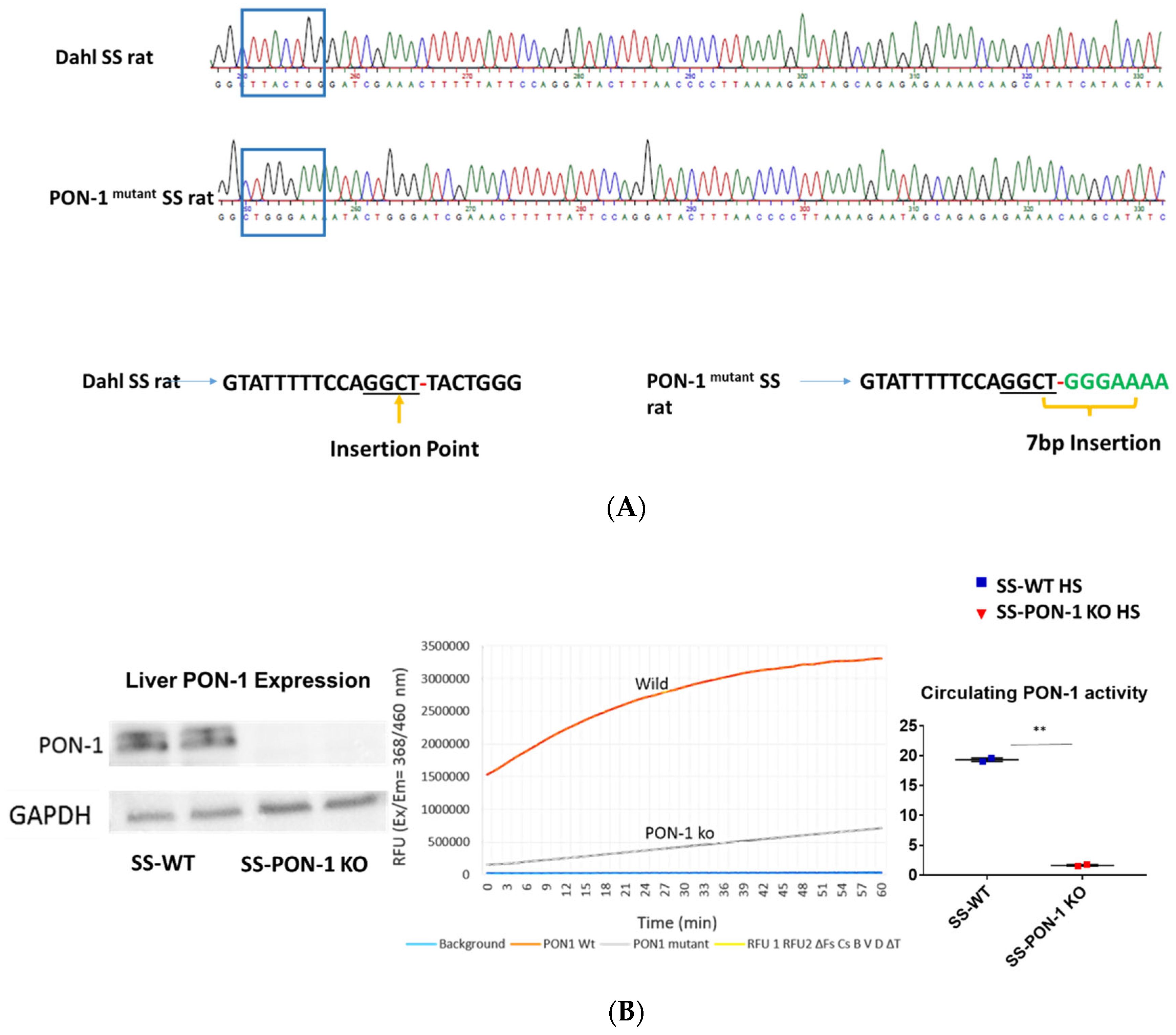 Antioxidants 11 00900 g001