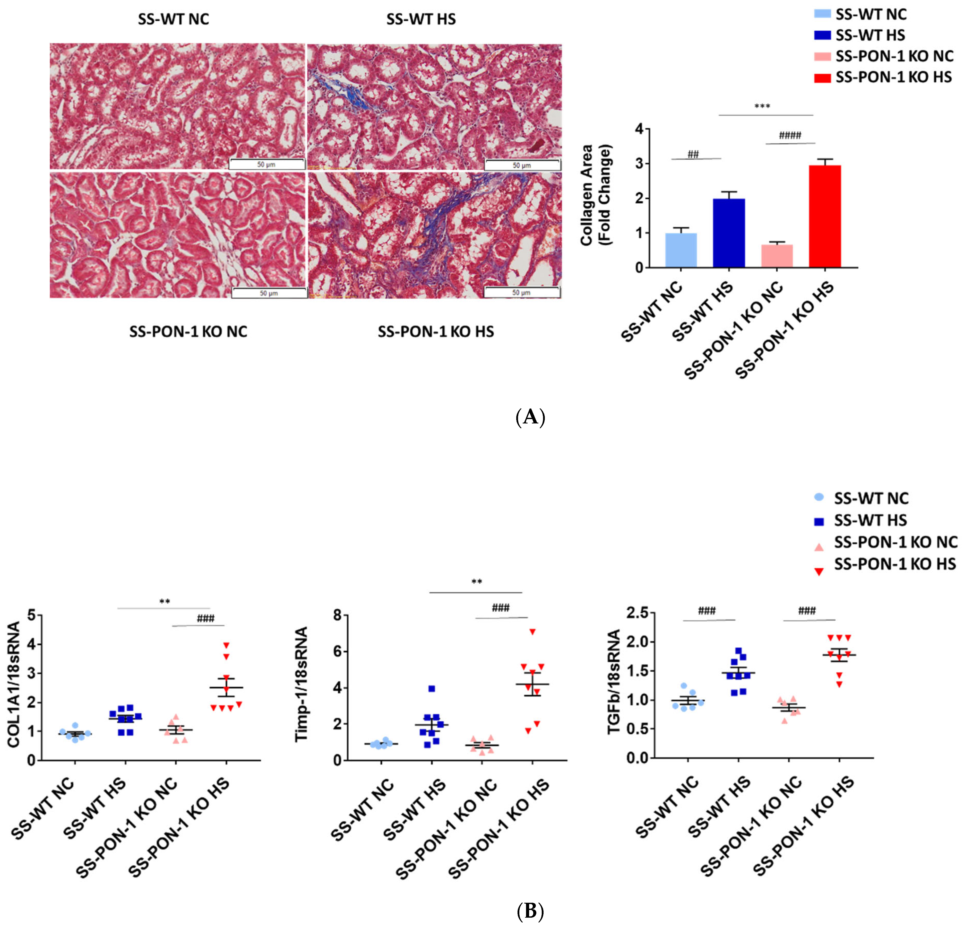 Antioxidants 11 00900 g003