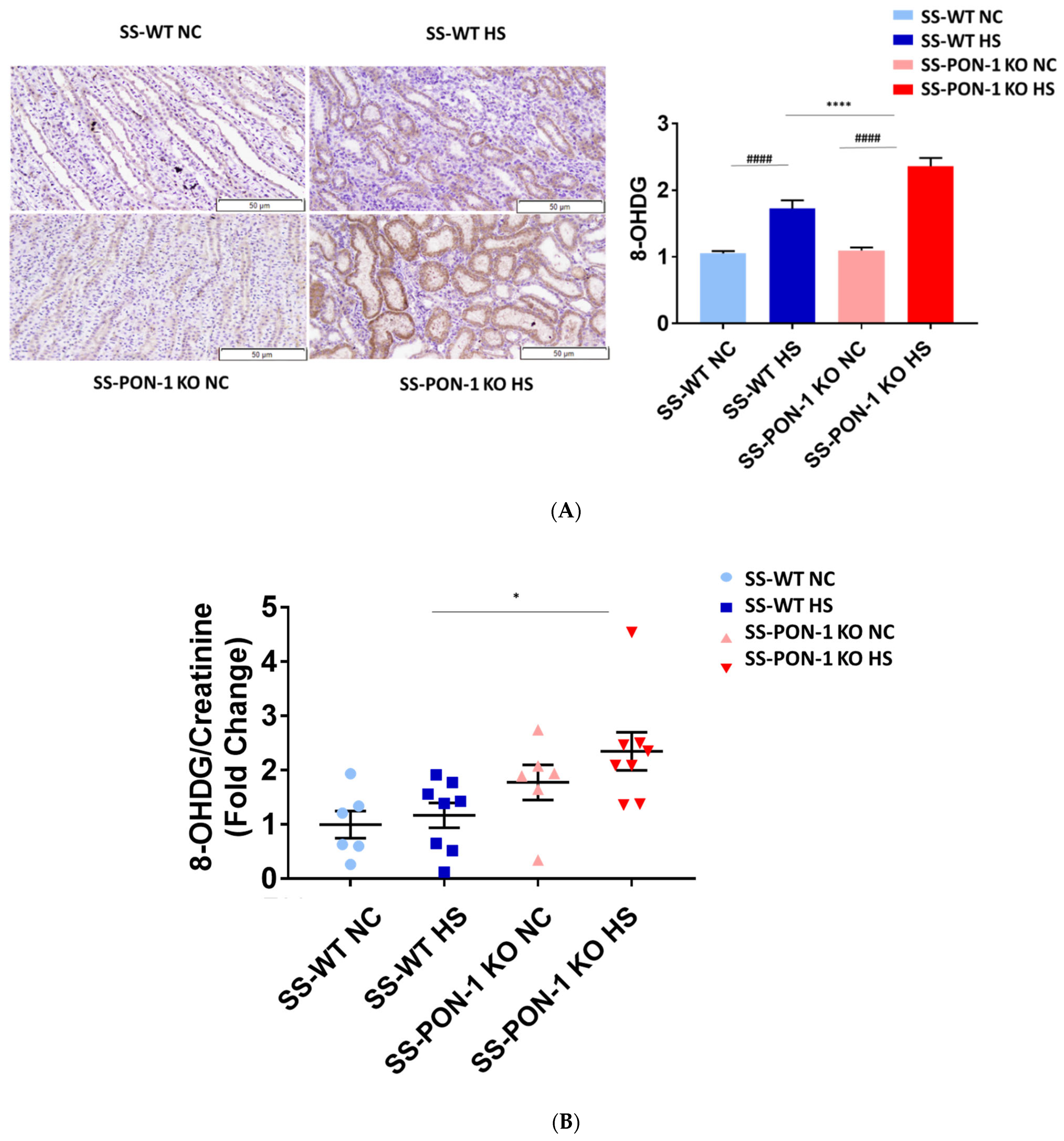 Antioxidants 11 00900 g004a