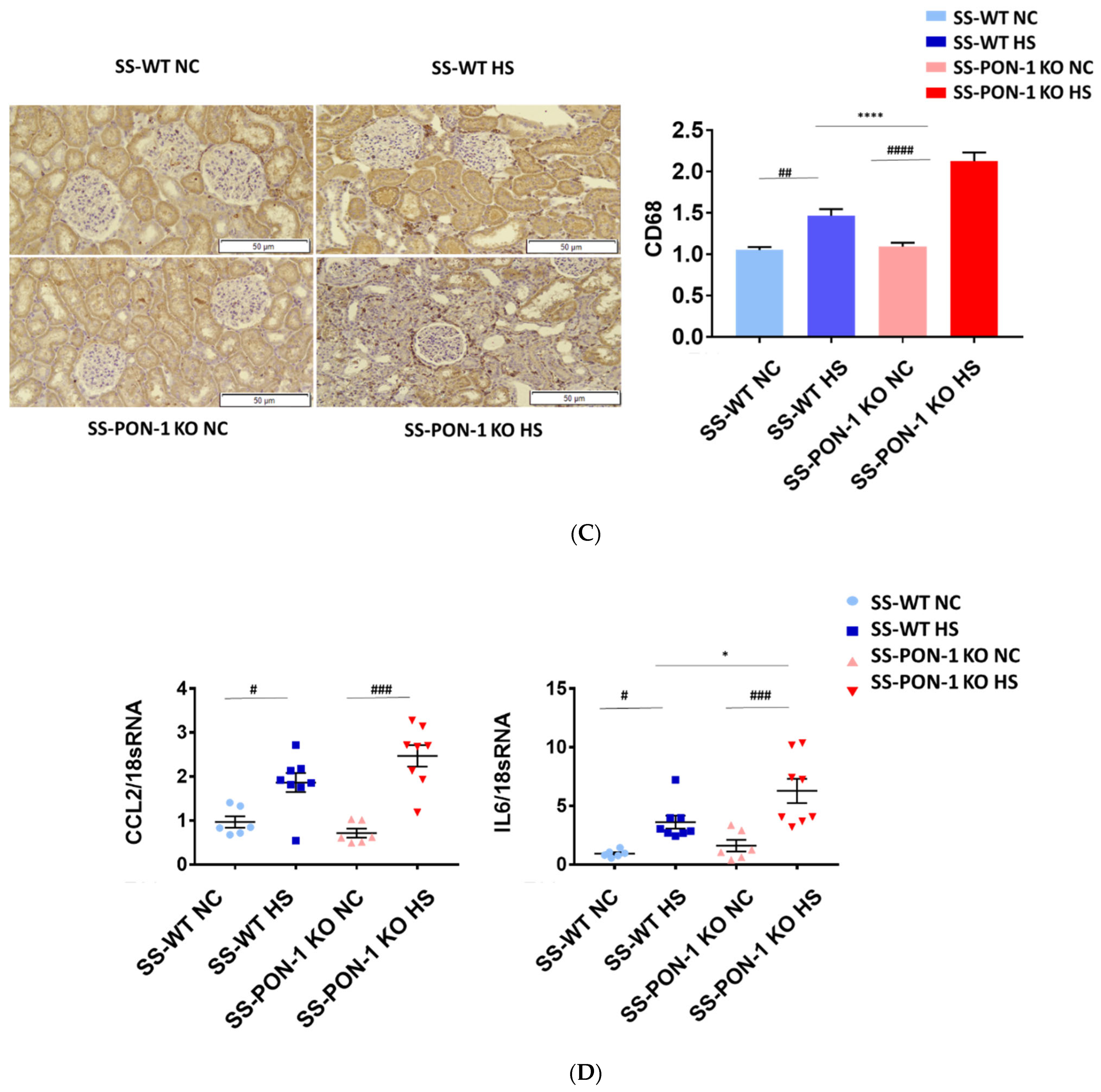 Antioxidants 11 00900 g004b