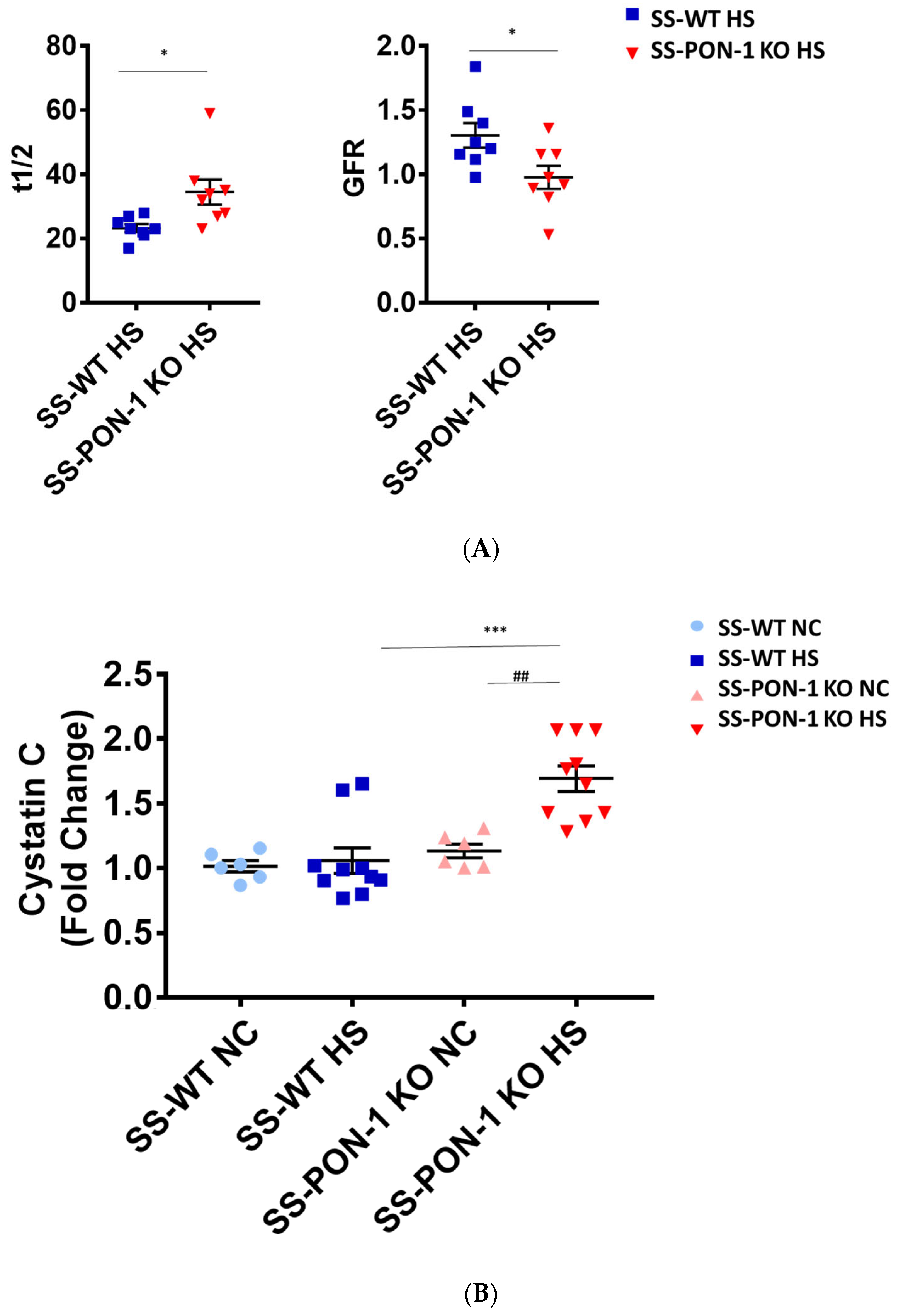 Antioxidants 11 00900 g005a