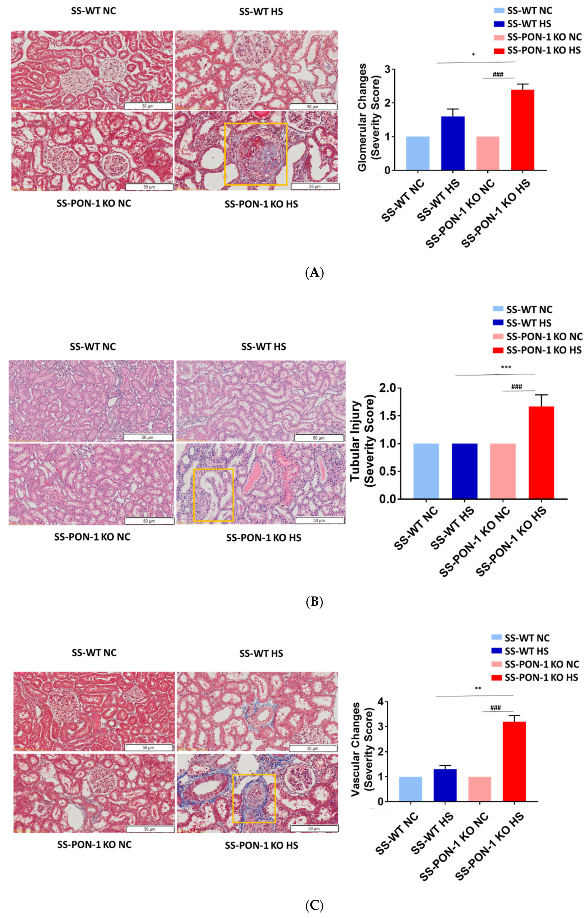 Antioxidants 11 00900 g006