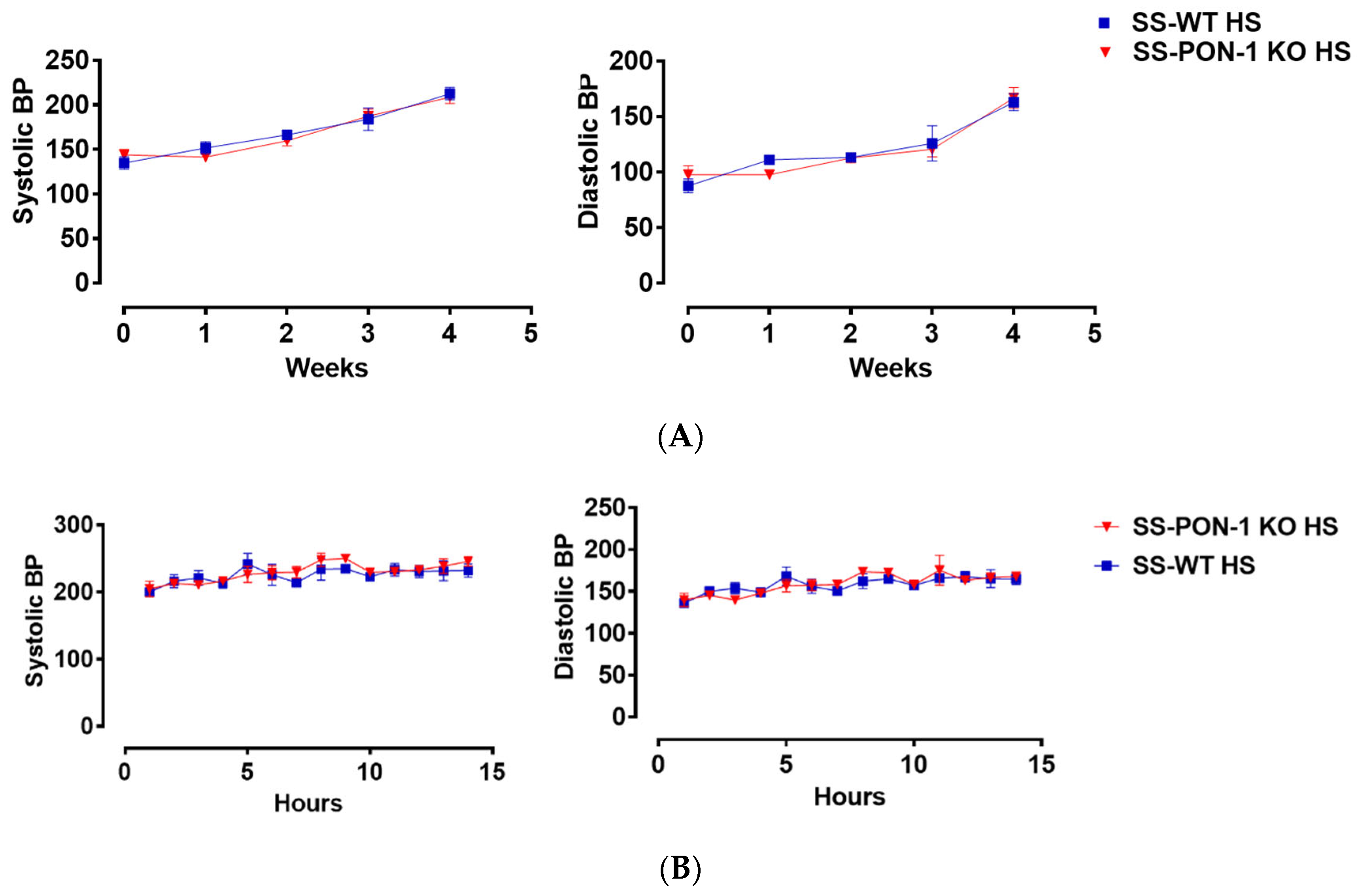 Antioxidants 11 00900 g007
