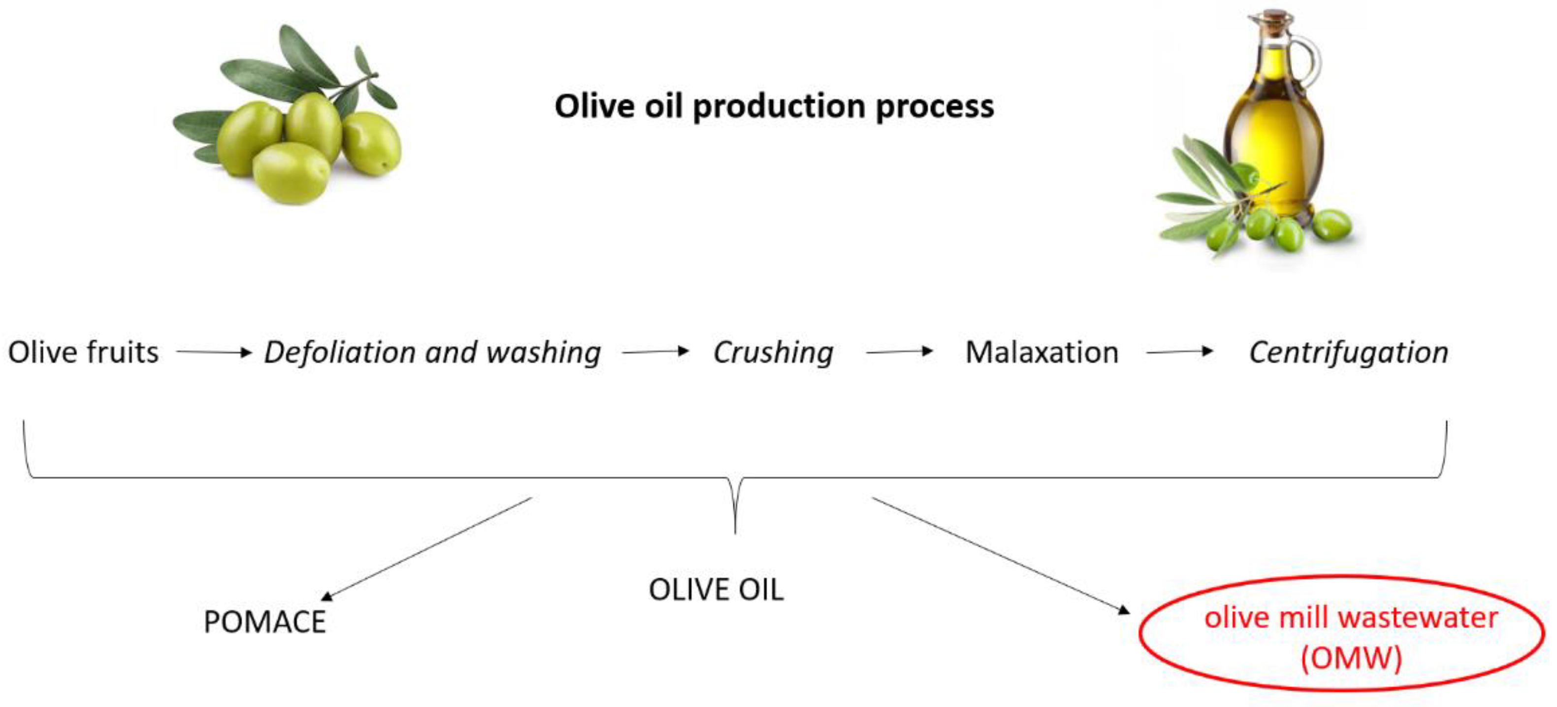Antioxidants 11 00903 g001
