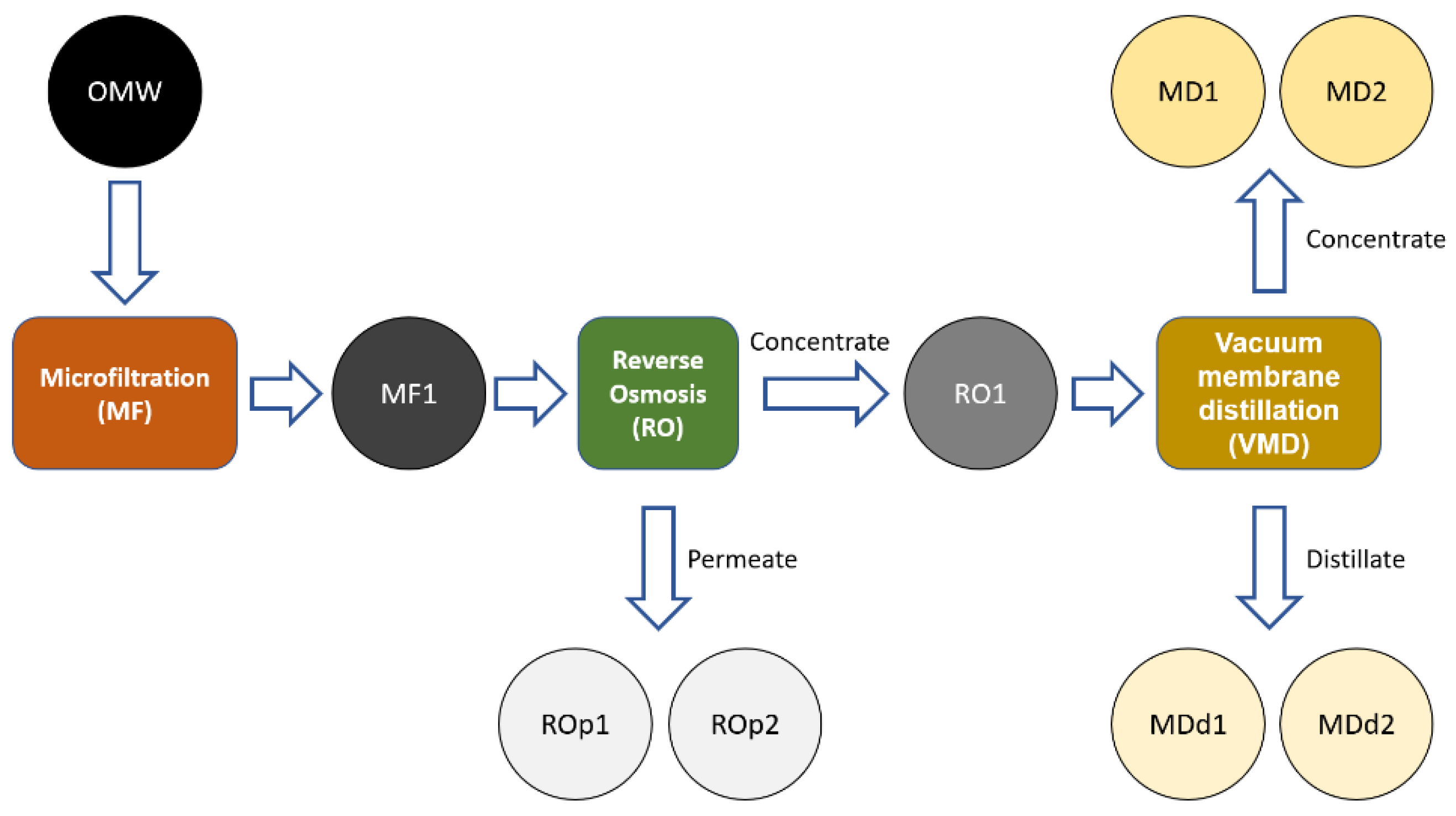 Antioxidants 11 00903 g002