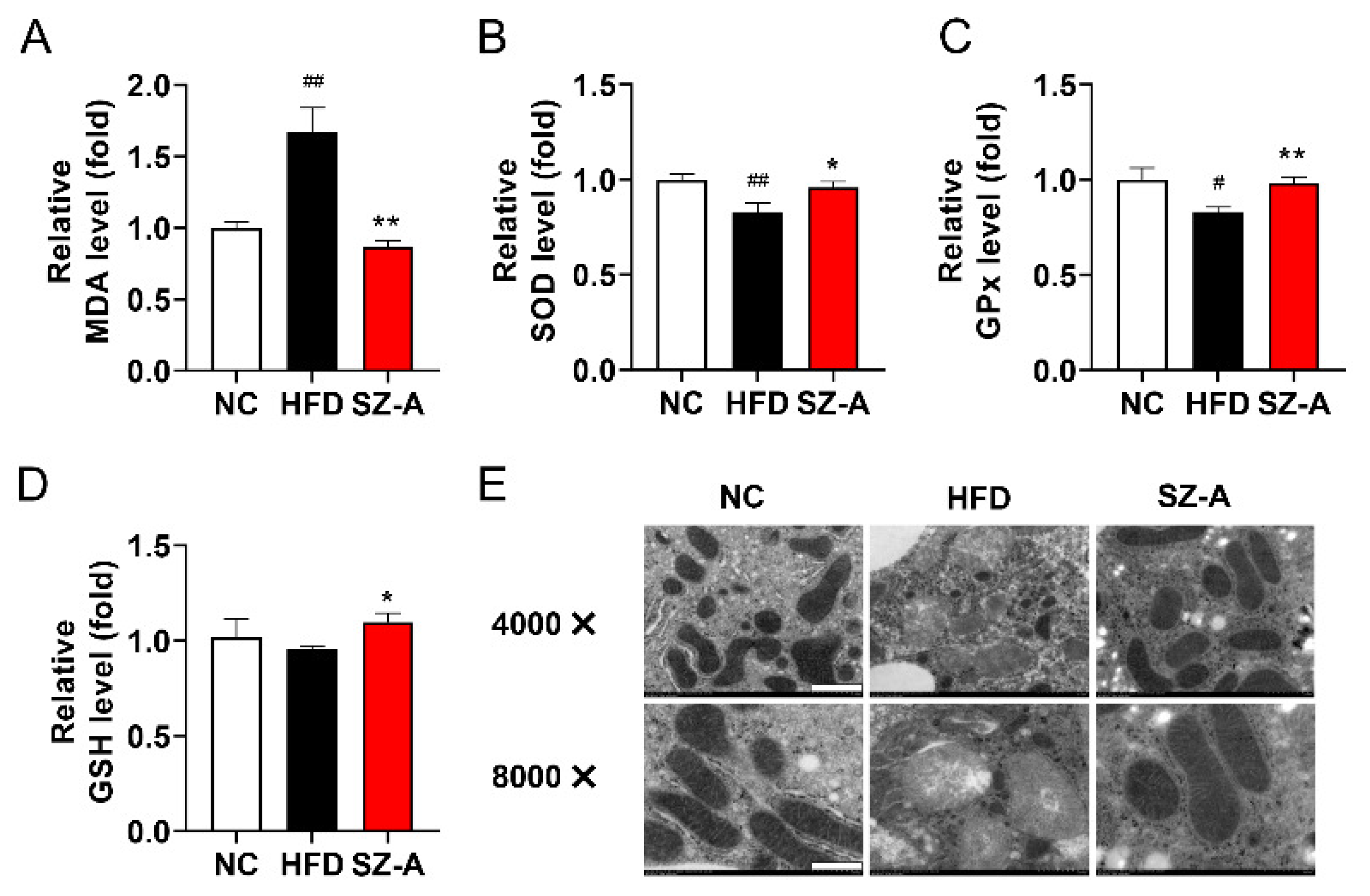 Antioxidants 11 00905 g006