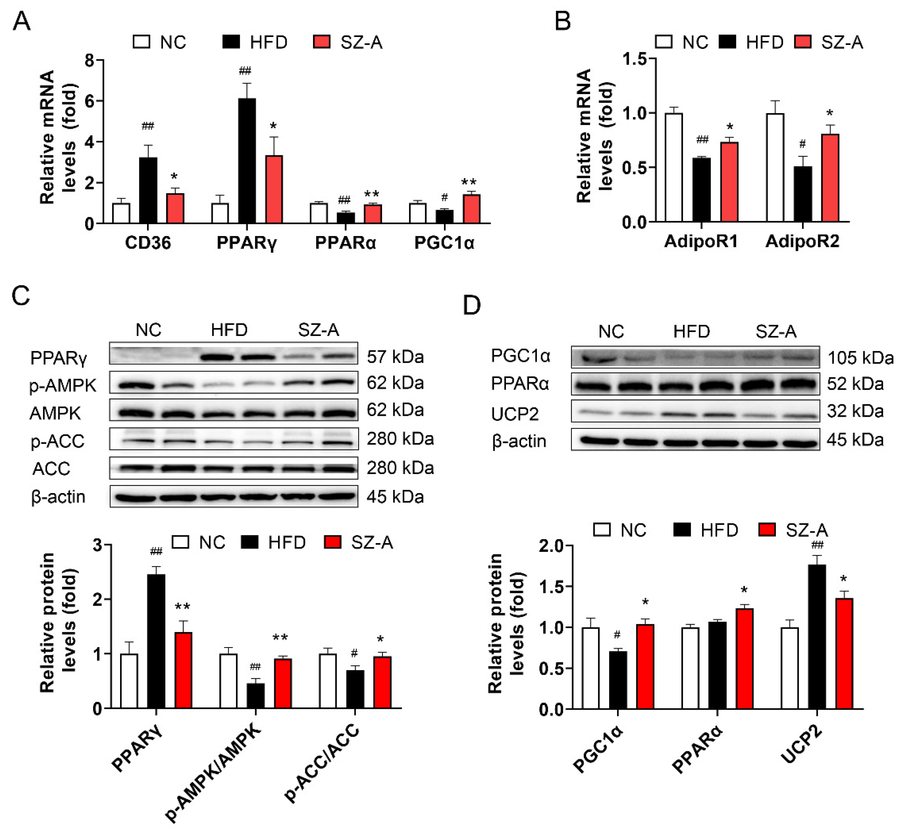 Antioxidants 11 00905 g007