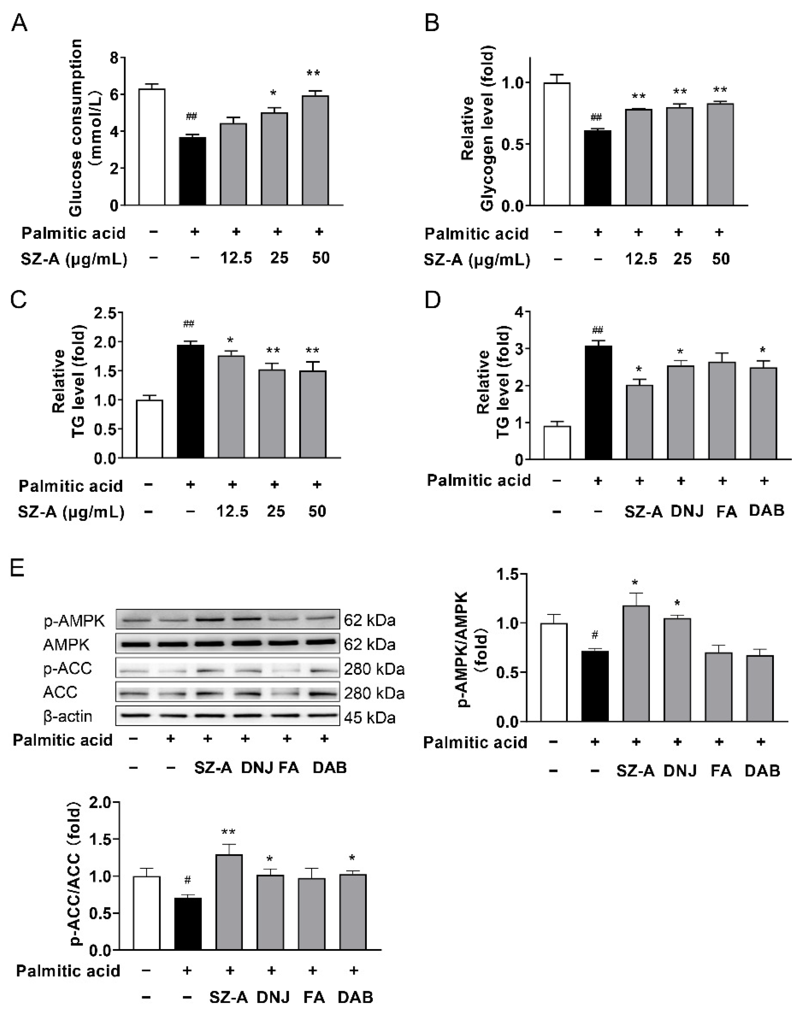 Antioxidants 11 00905 g008