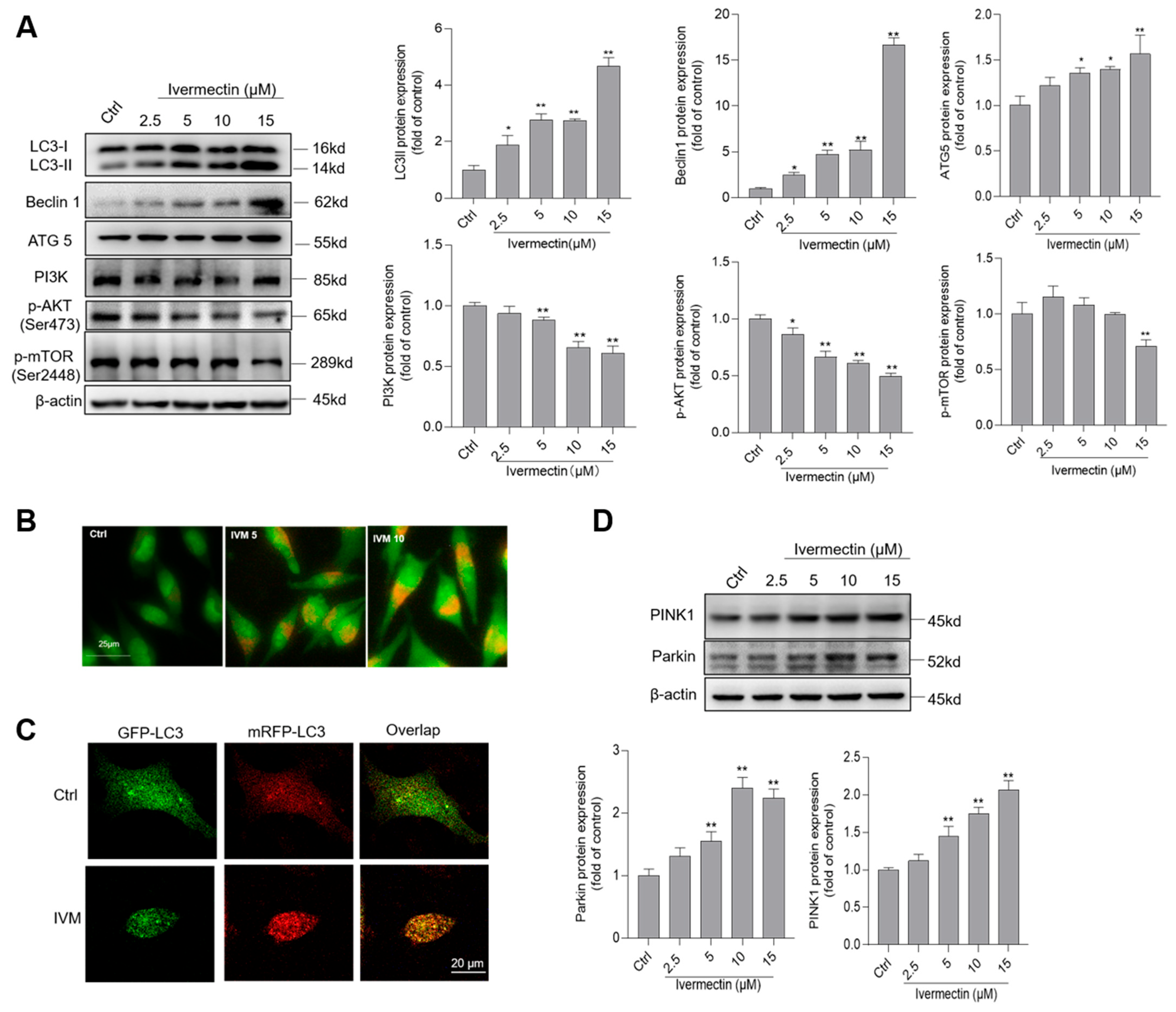 Antioxidants 11 00908 g005