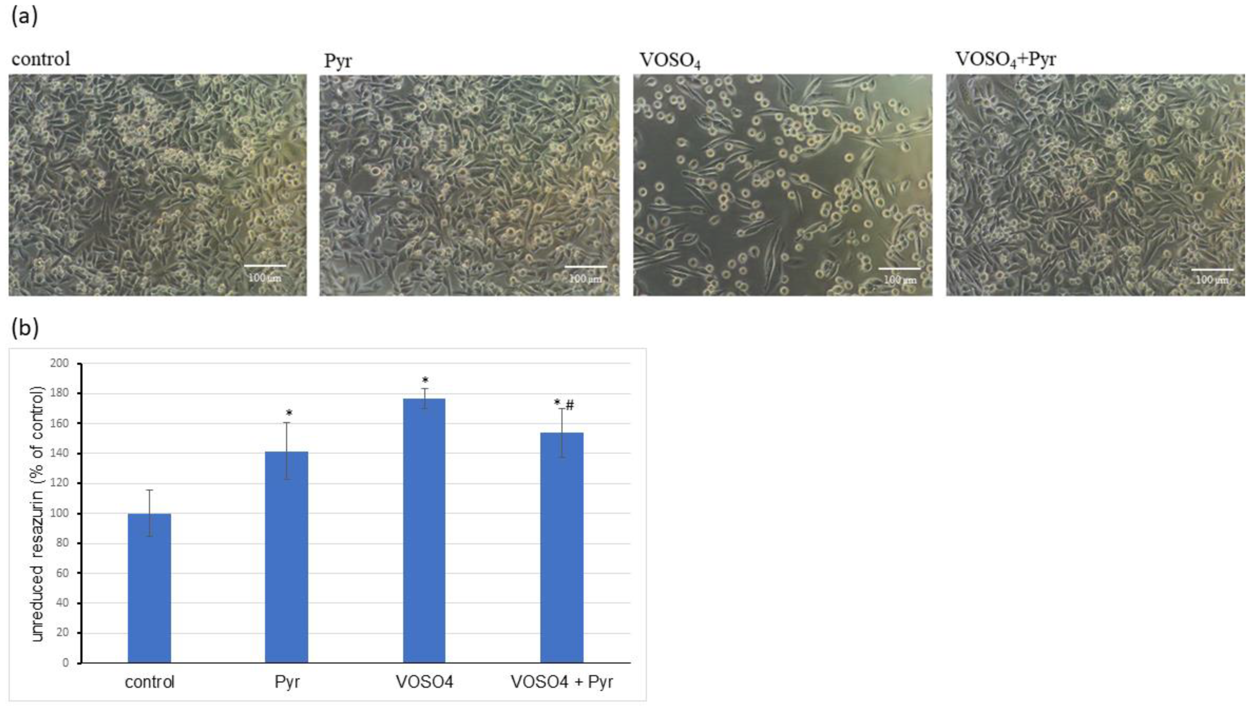 Antioxidants 11 00909 g001