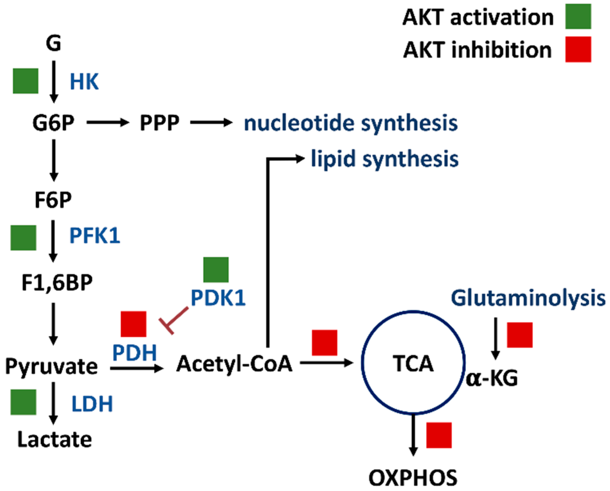 Antioxidants 11 00911 g002