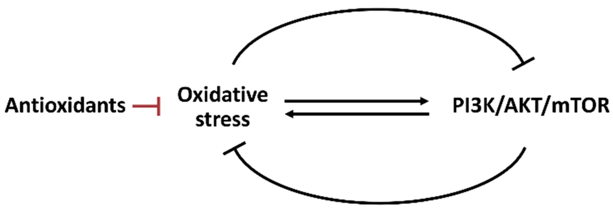 Antioxidants 11 00911 g005