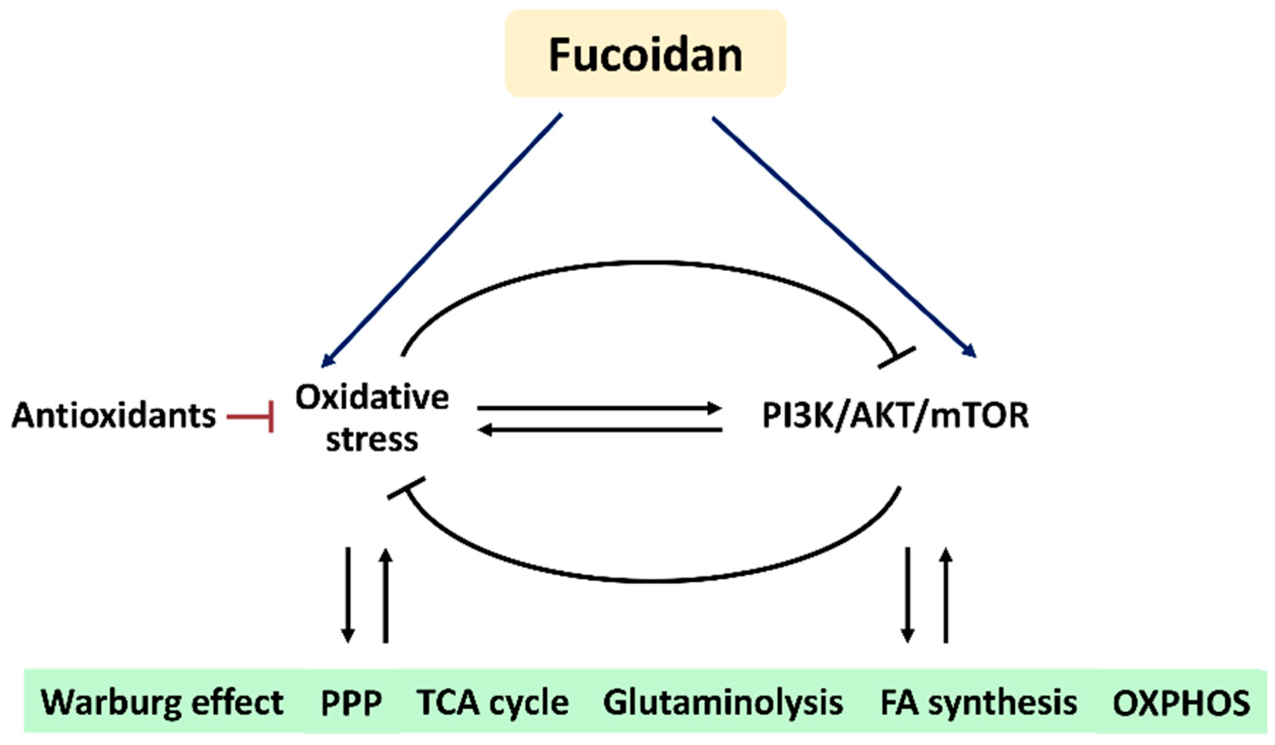 Antioxidants 11 00911 g006
