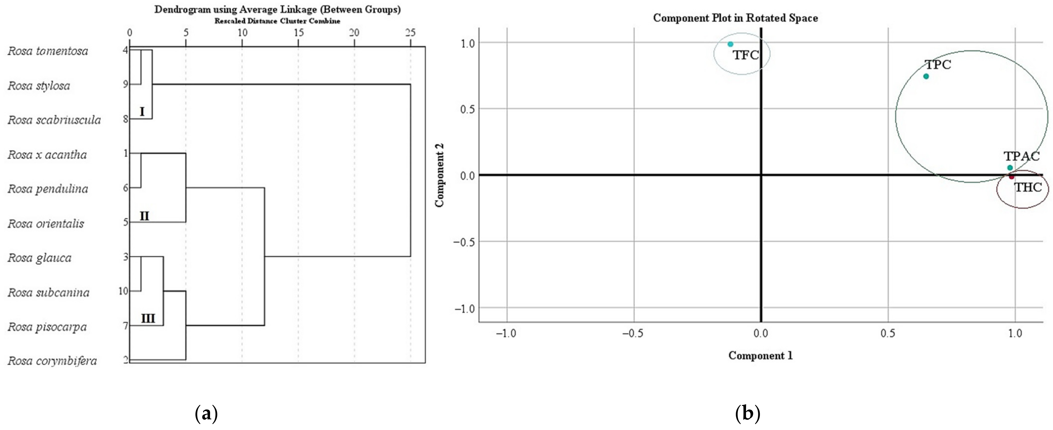 Antioxidants 11 00912 g005