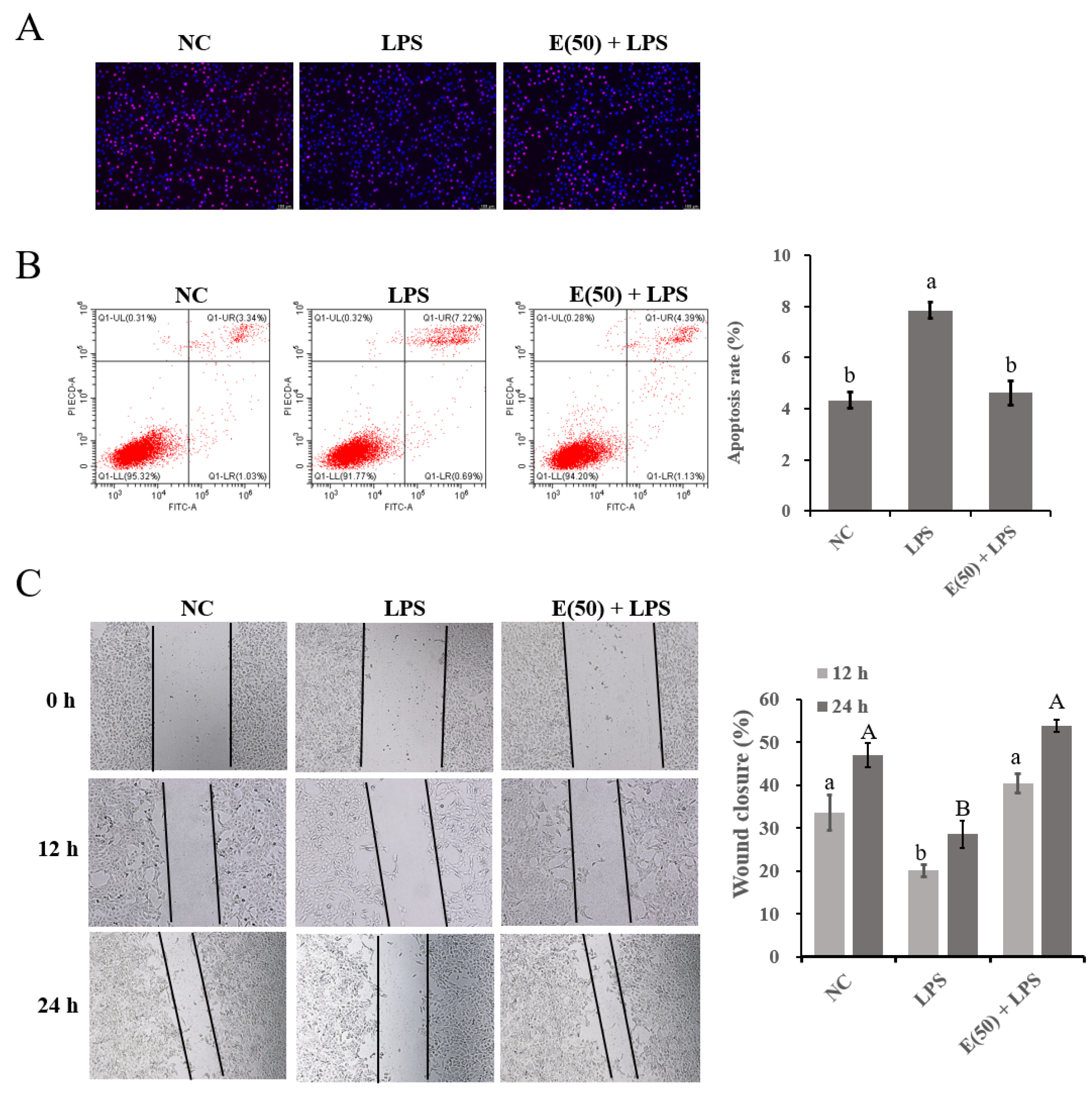 Antioxidants 11 00914 g002