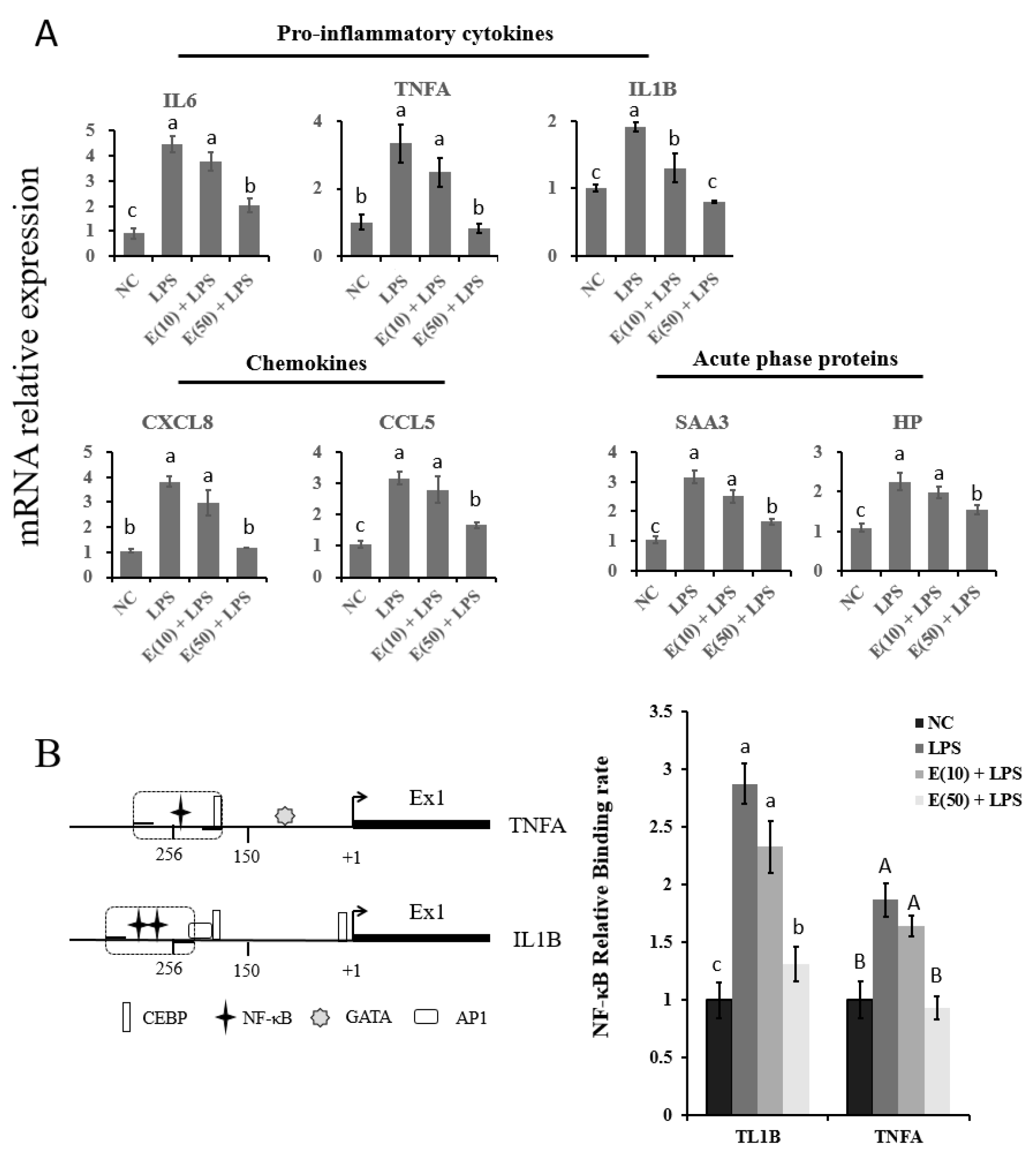 Antioxidants 11 00914 g004
