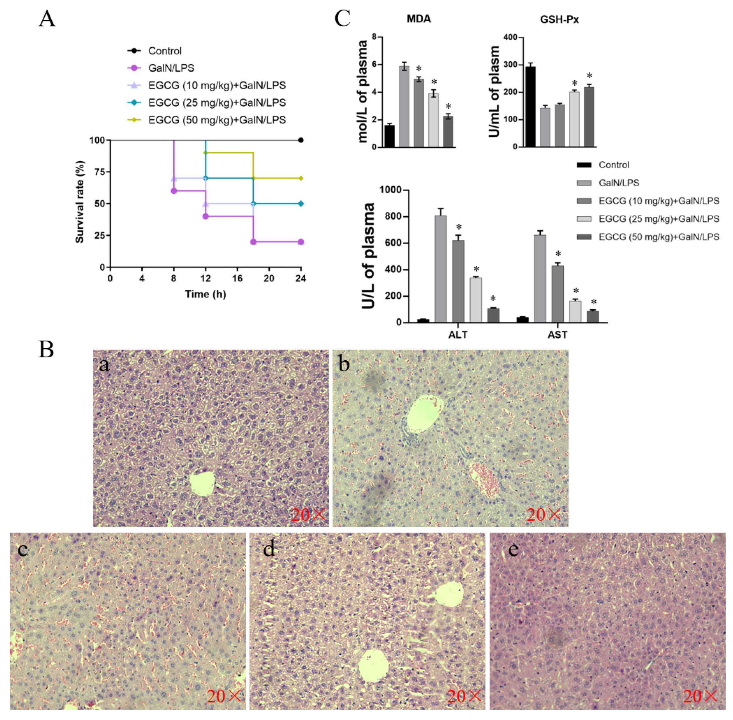 Antioxidants 11 00914 g008