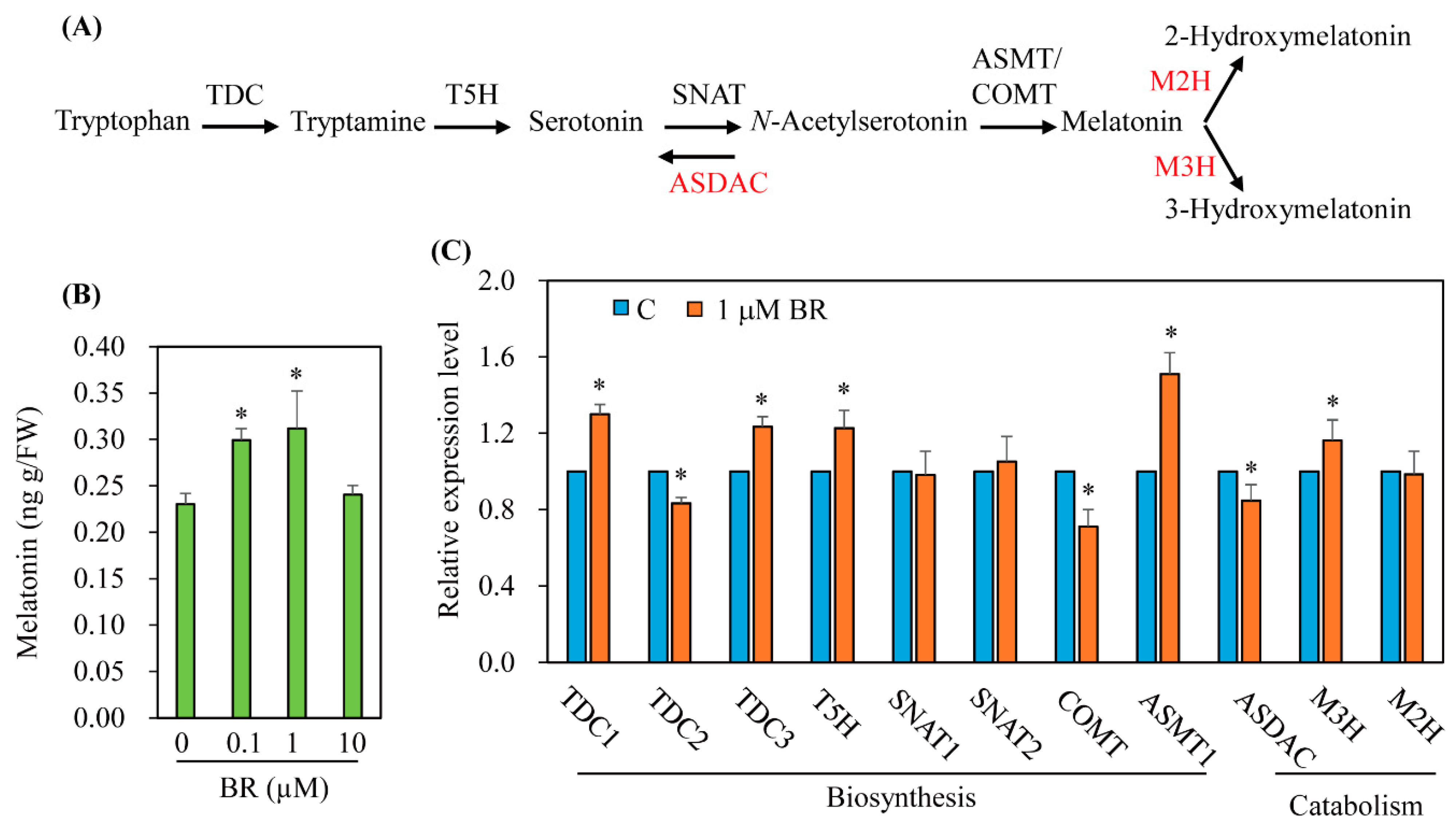 Antioxidants 11 00918 g002