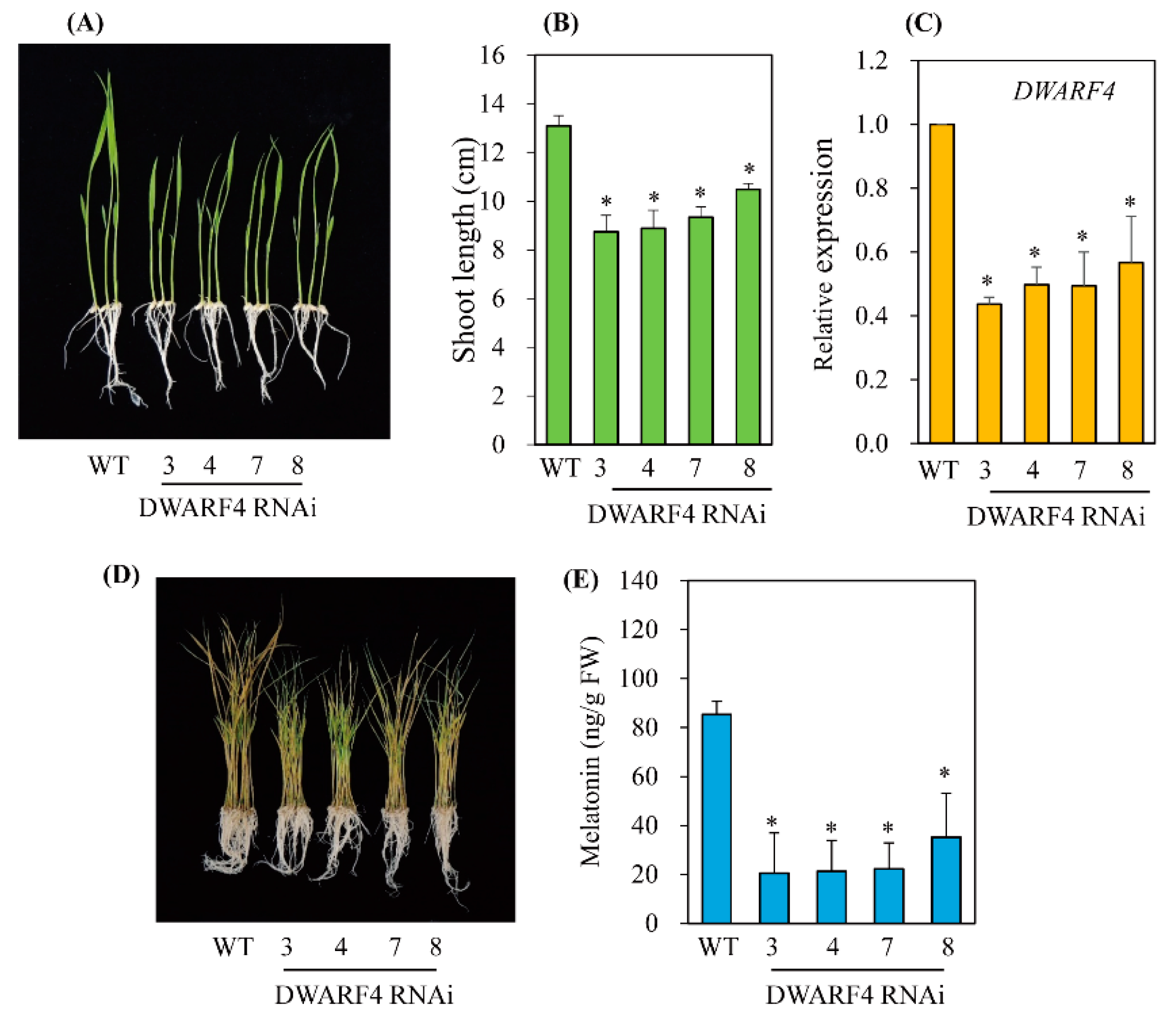 Antioxidants 11 00918 g004