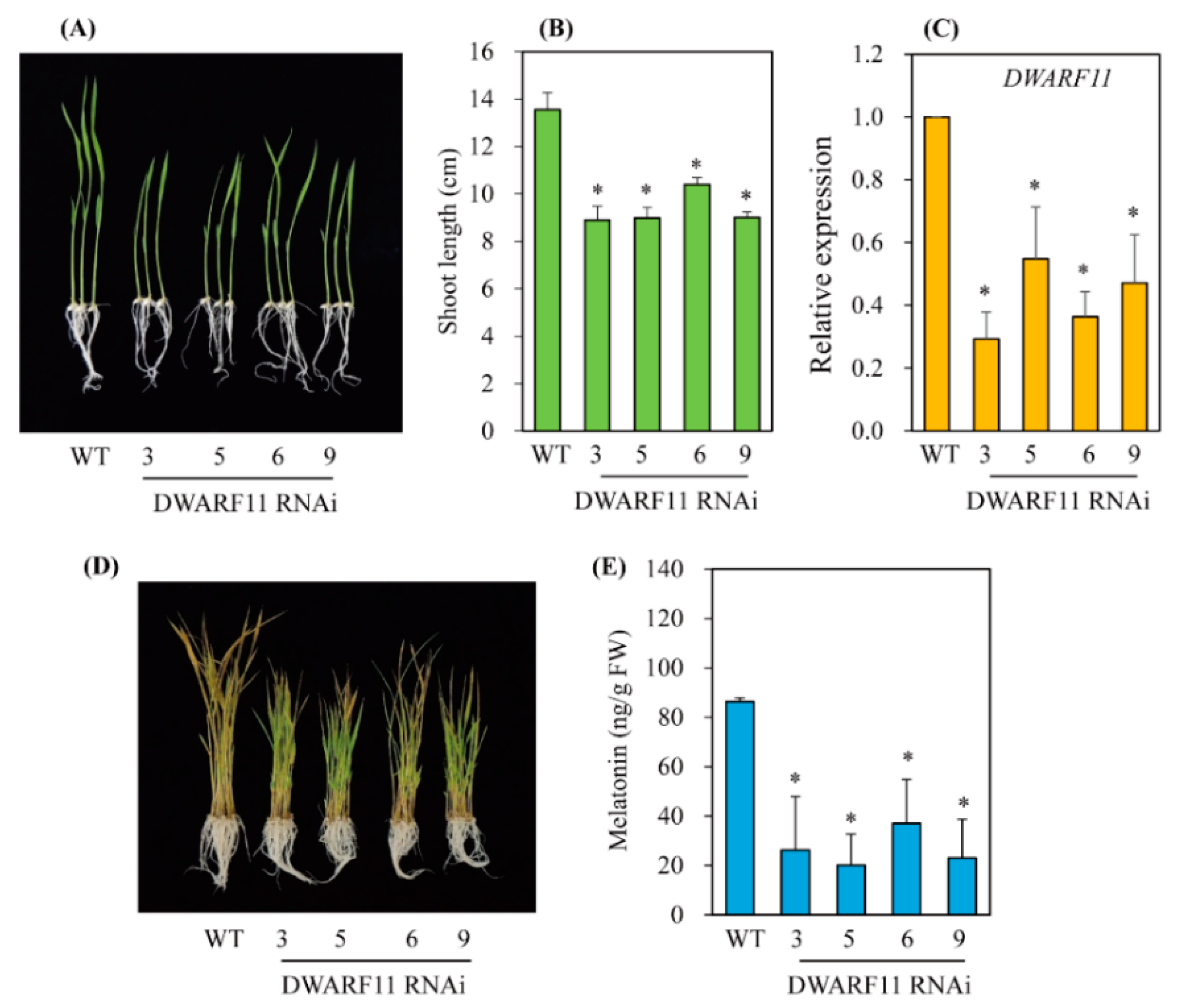 Antioxidants 11 00918 g005