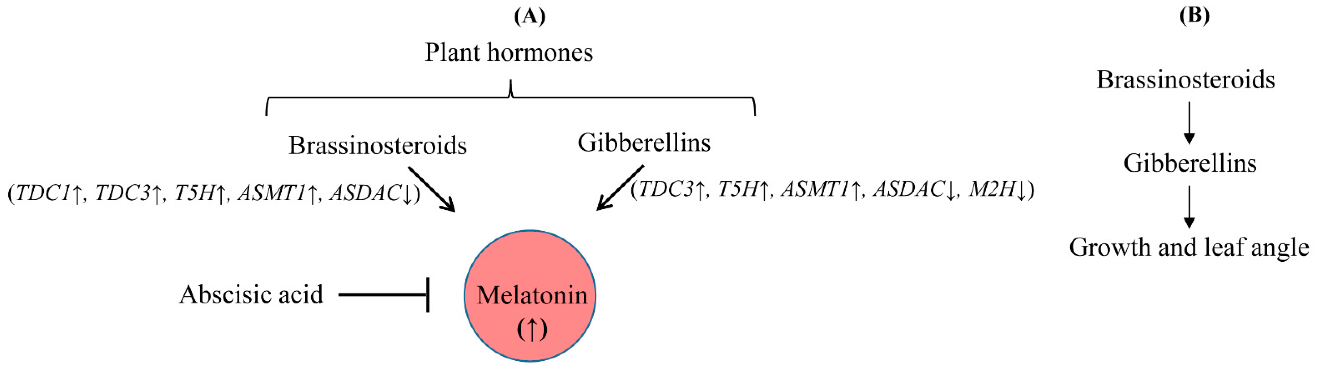 Antioxidants 11 00918 g009