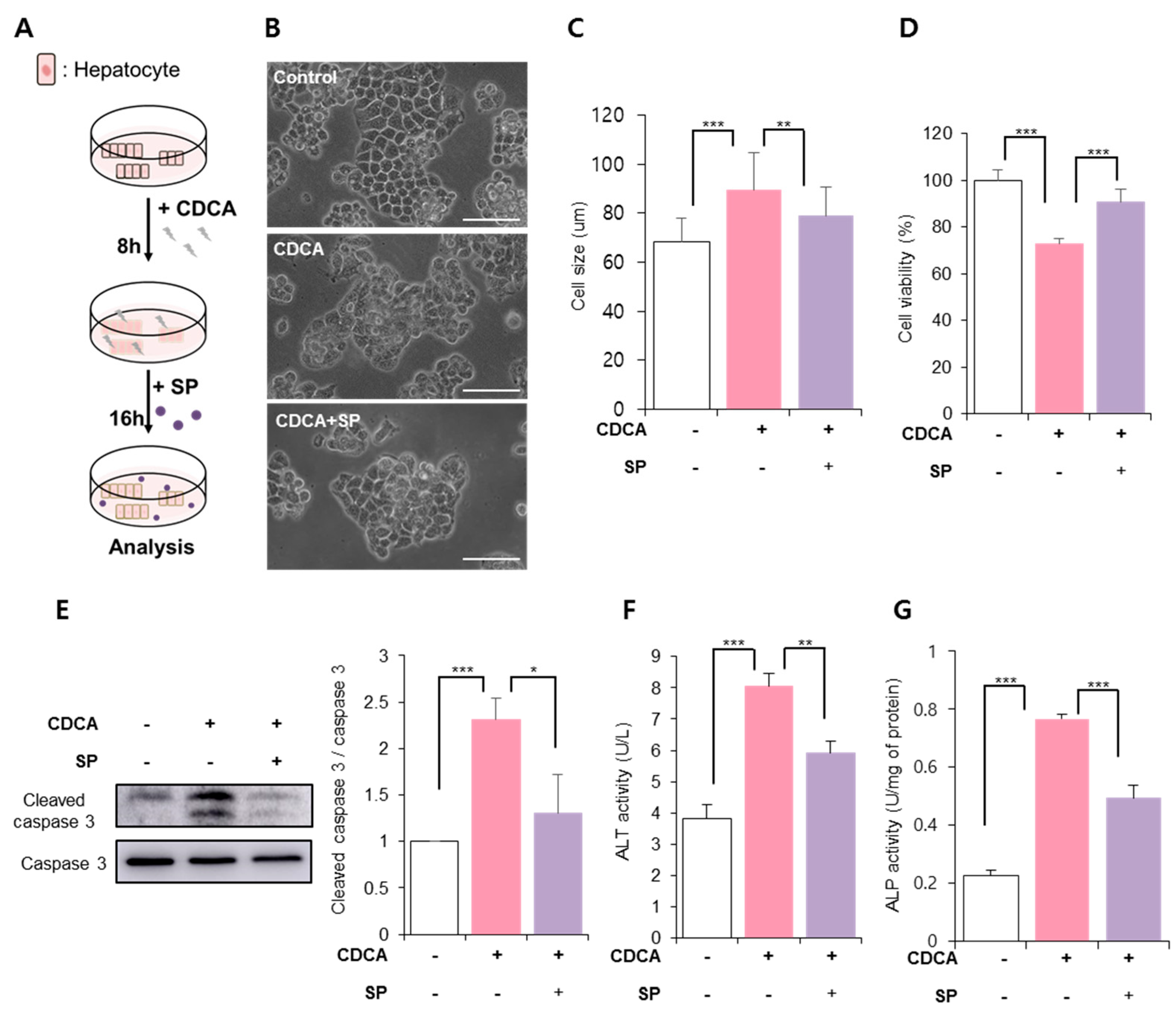 Antioxidants 11 00920 g002